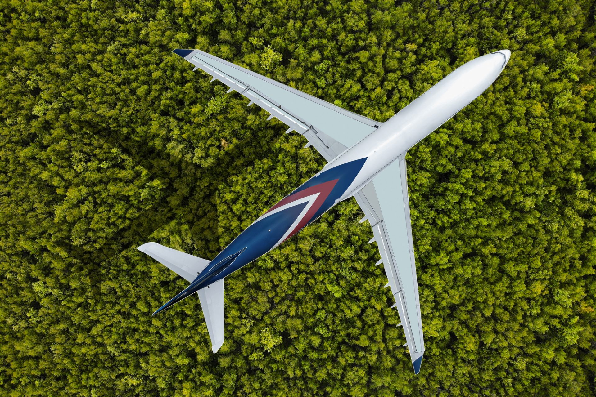 The future of sustainable aviation fuel may lie in this common plant