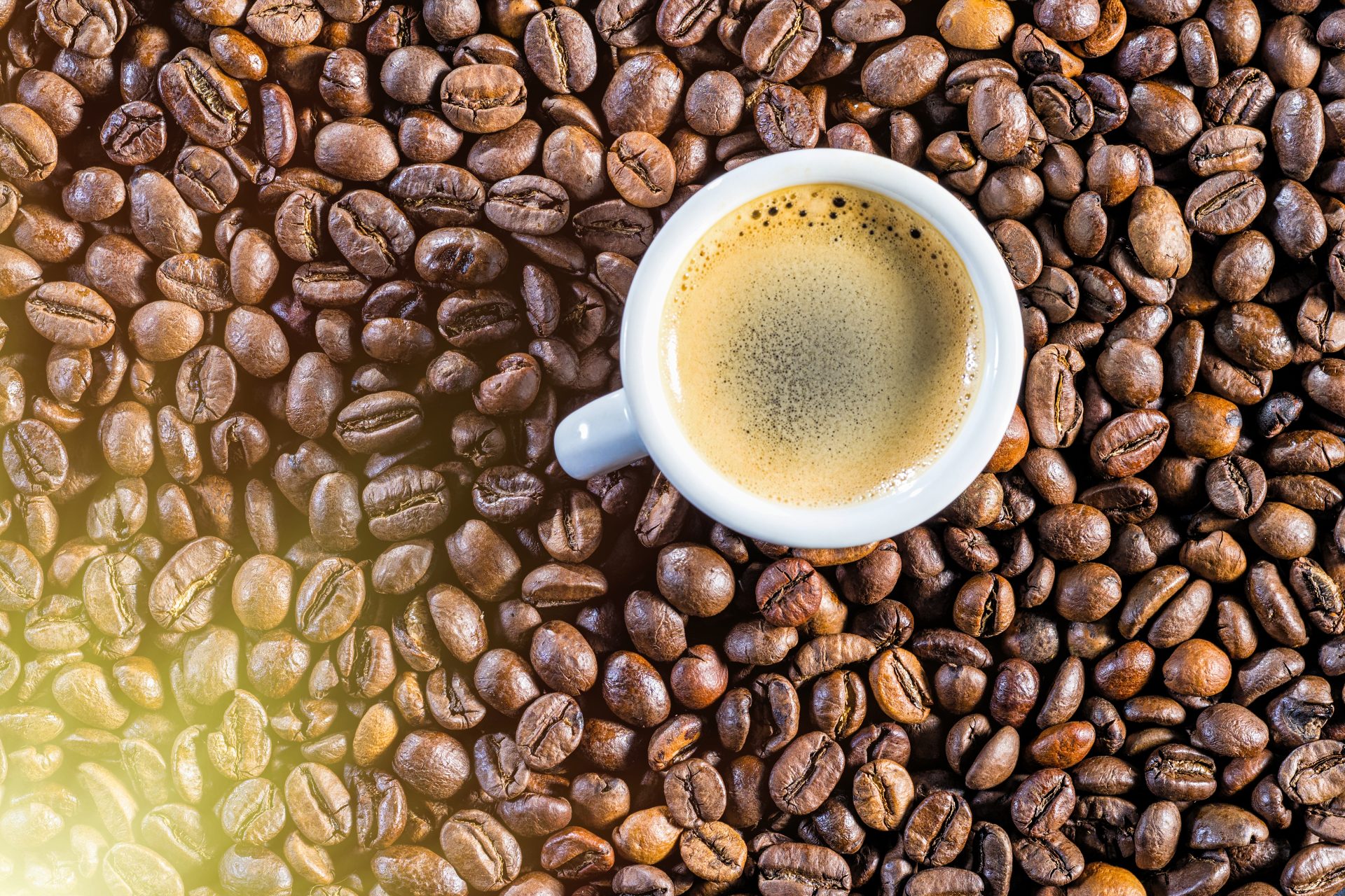 The first batches of coffee have already been tasted