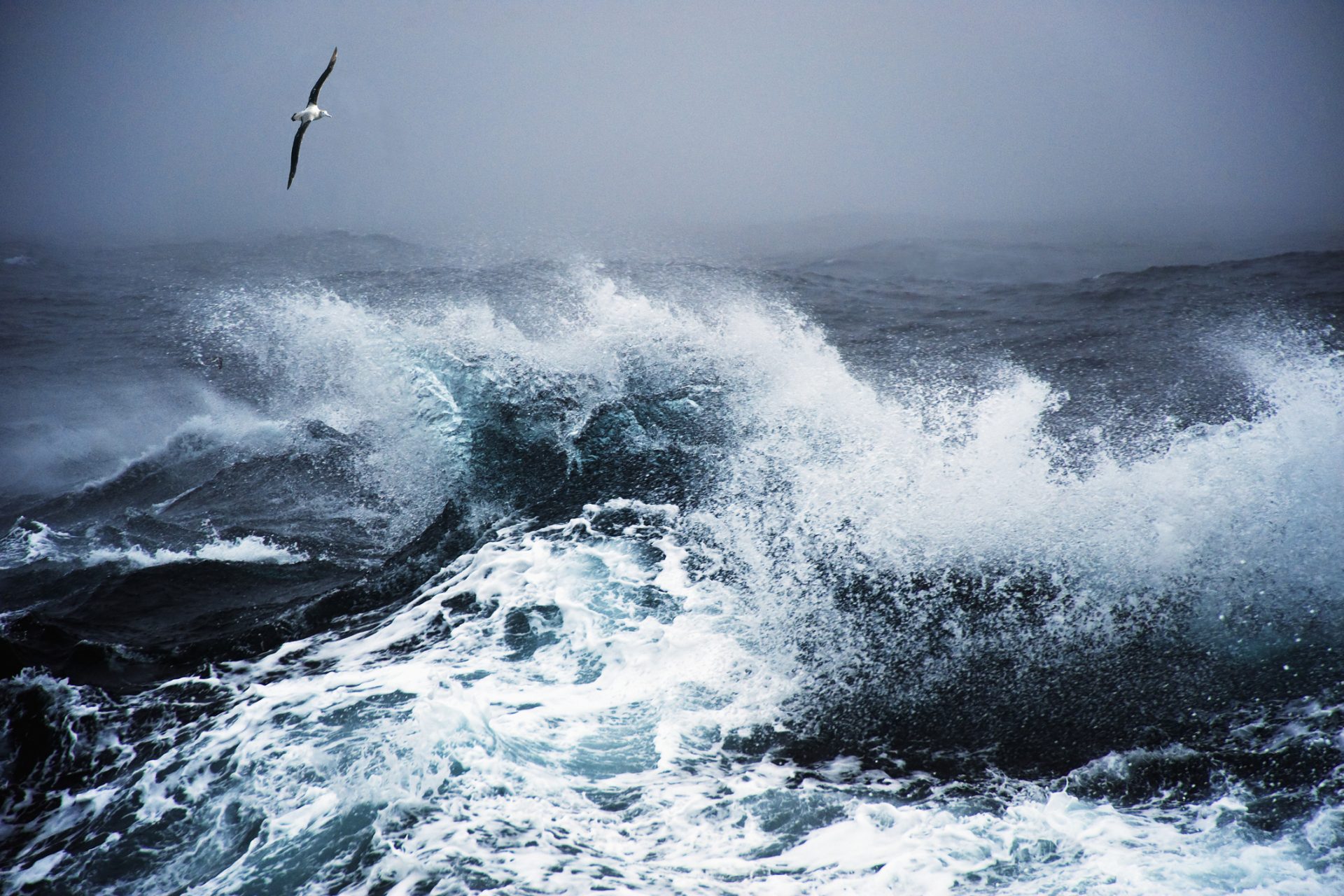 Le passage de Drake : découvrez la traversée maritime la plus dangereuse au monde