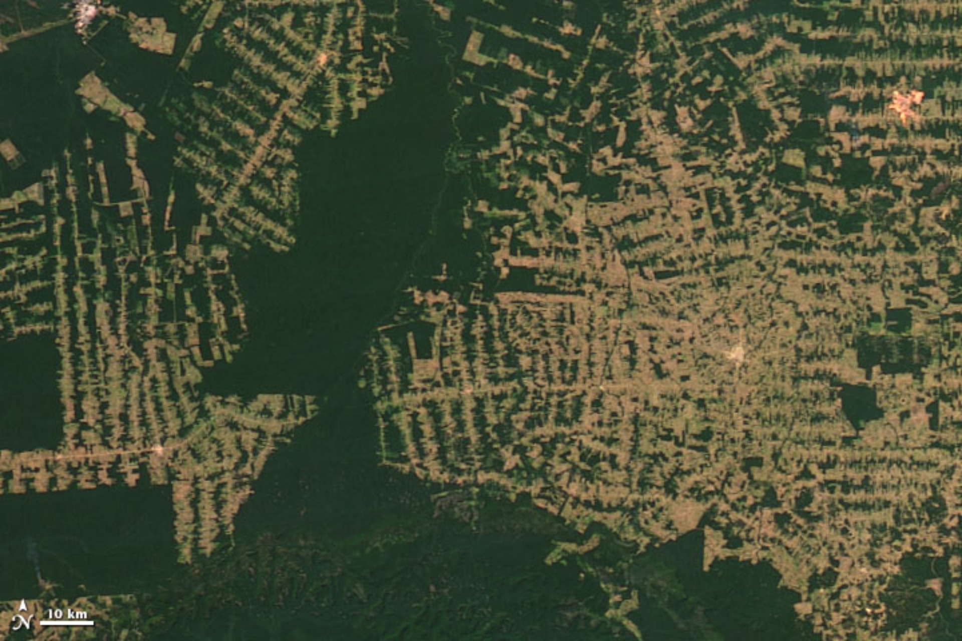 Amazzonia (Brasile) – 2012