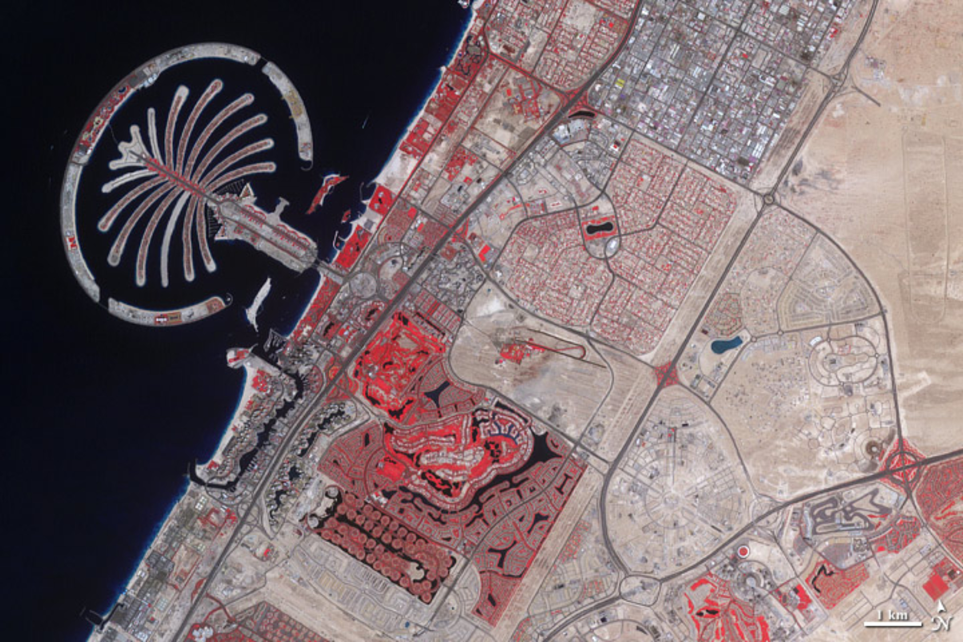 Dubai (Emirati Arabi Uniti) – 2011