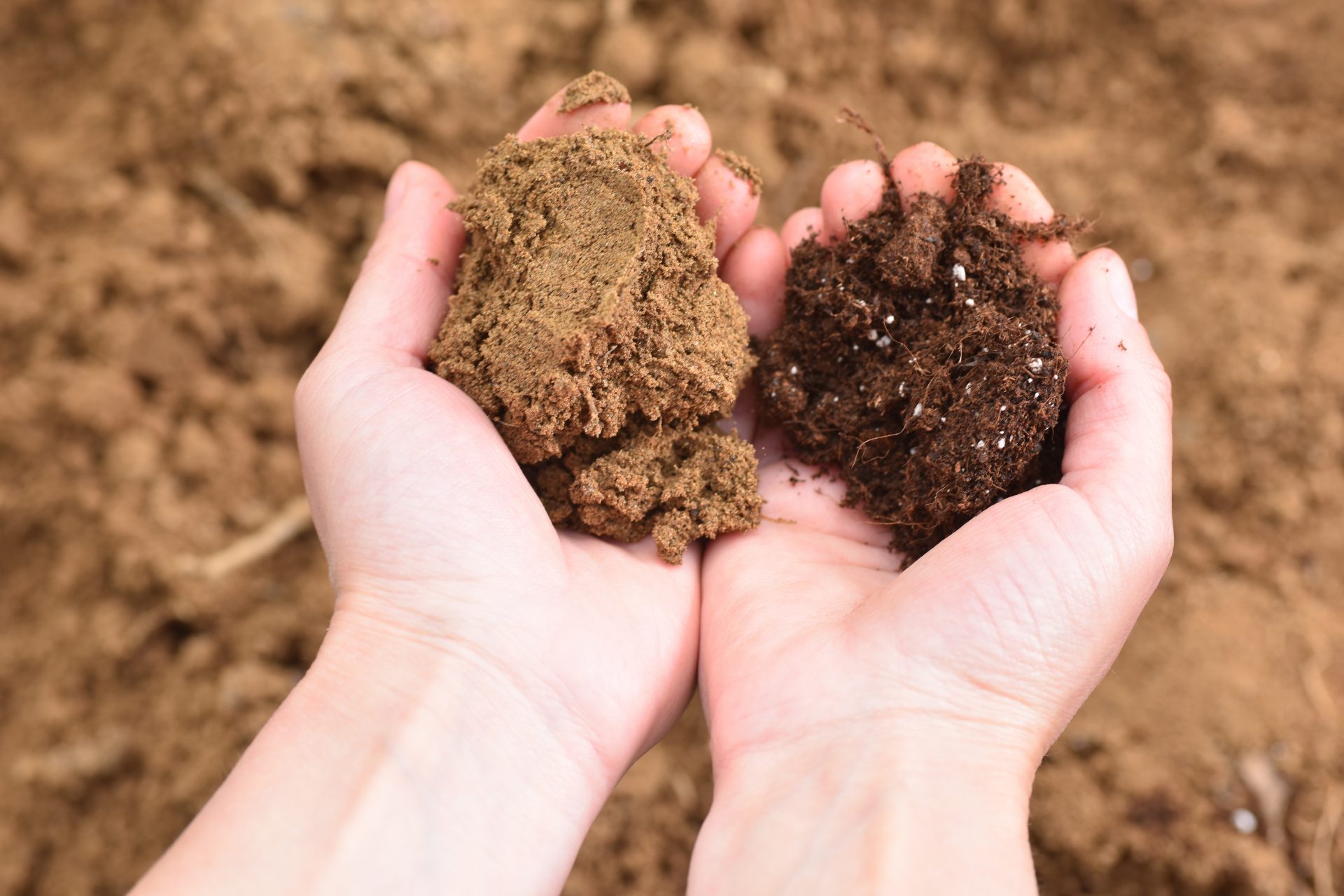 ¿Cuáles son los aspectos destacables para revertir el daño causado por el ser humano? optimizando la agricultura