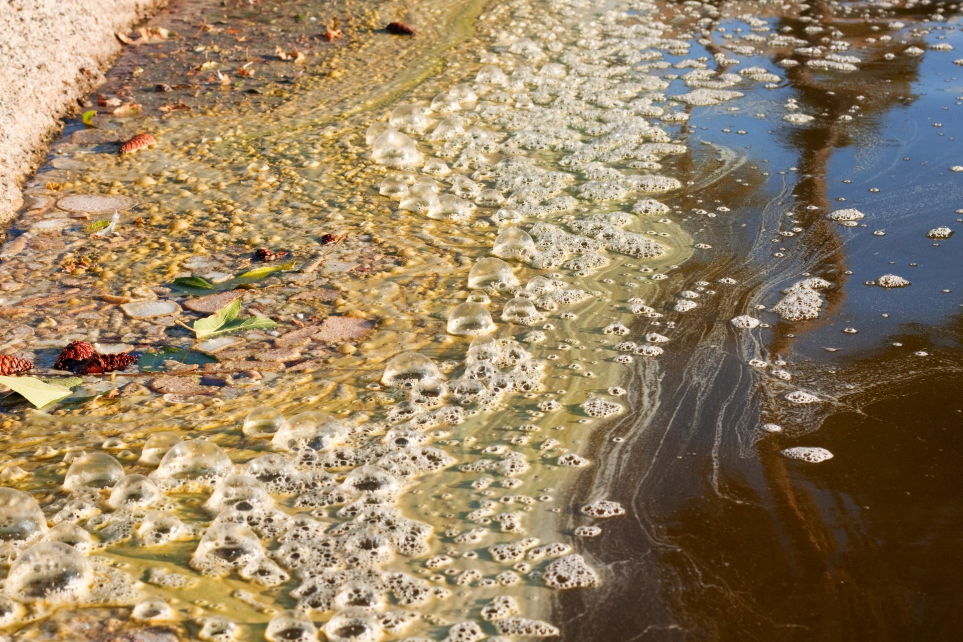 El agua y la salud