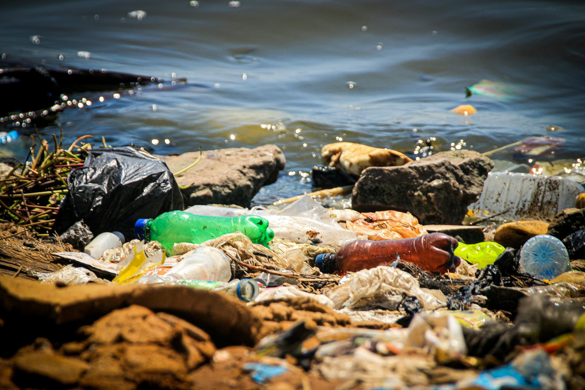 ¿Cuáles son las causas de la contaminación del agua?