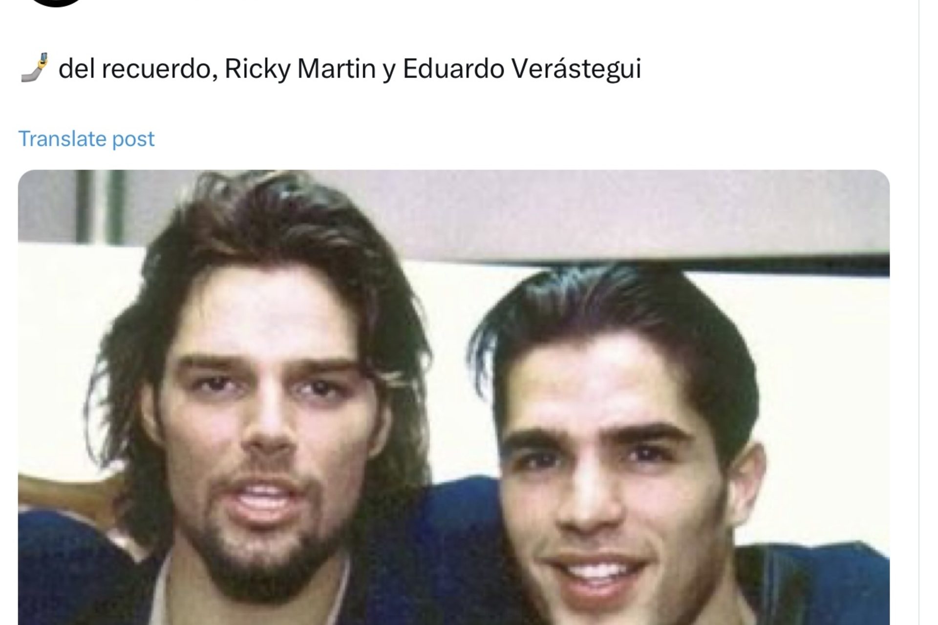 It is rumored that he had a romantic relationship with Ricky Martin 