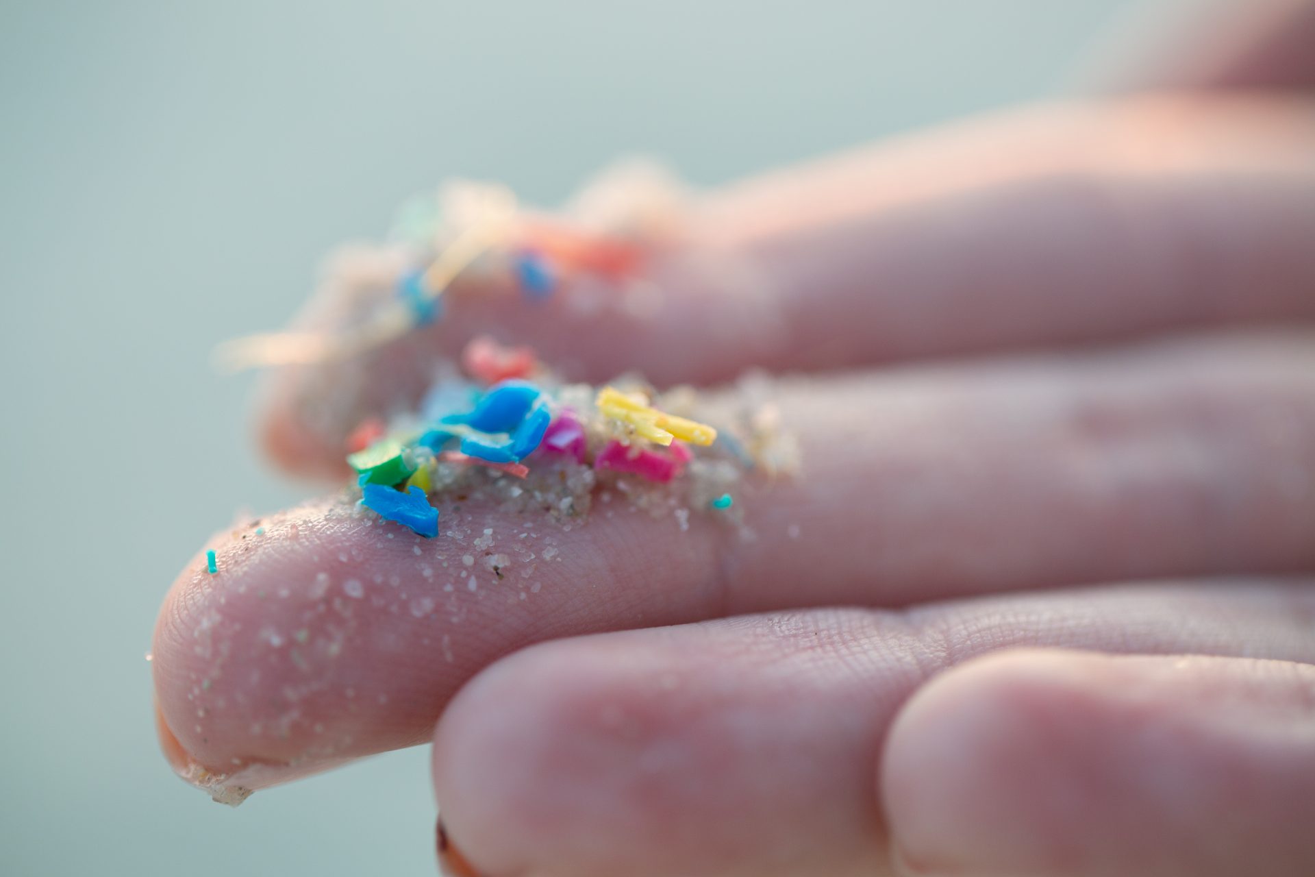 Mikroplastik kann laut Studie Herzkrankheiten verursachen