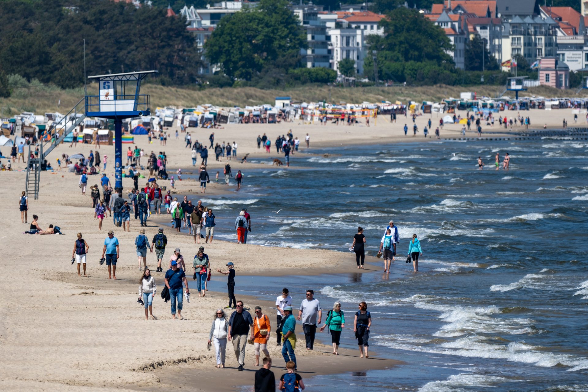 Pollution in the Baltic Sea has become a big problem