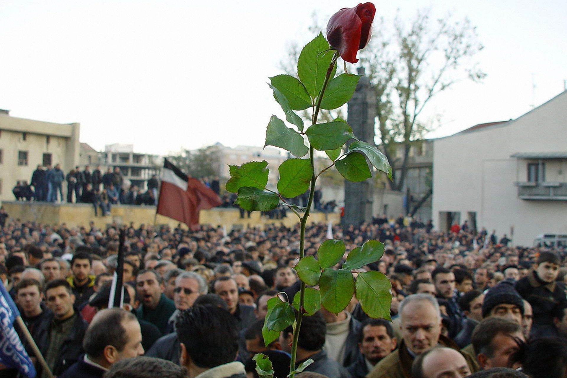 La Révolution des Roses