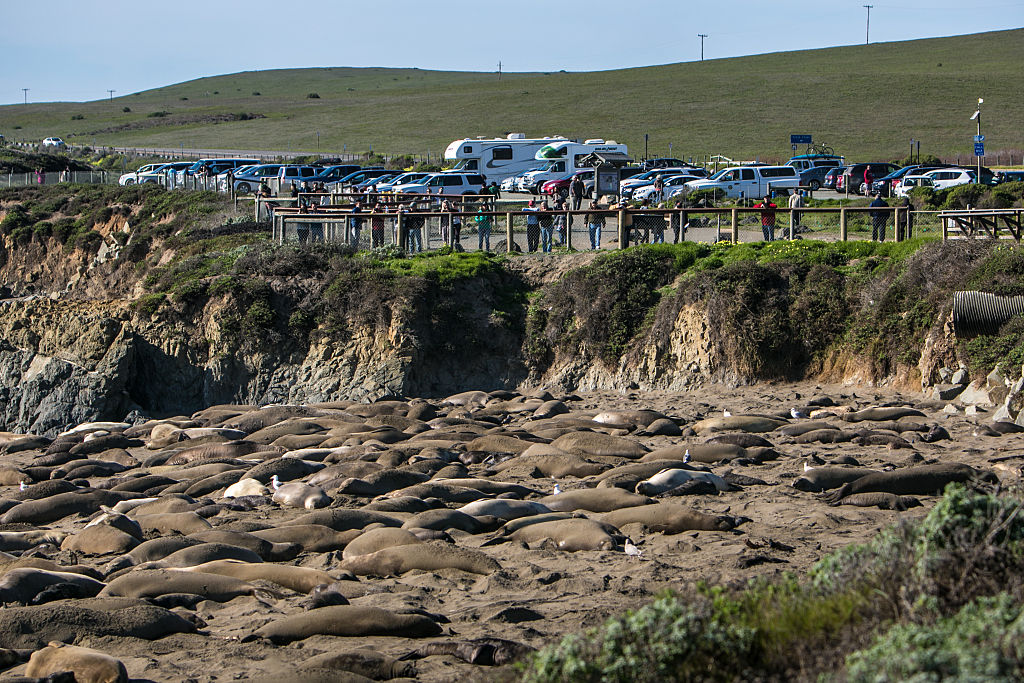 4.5 to 7 million tourists pass through Big Sur every year 