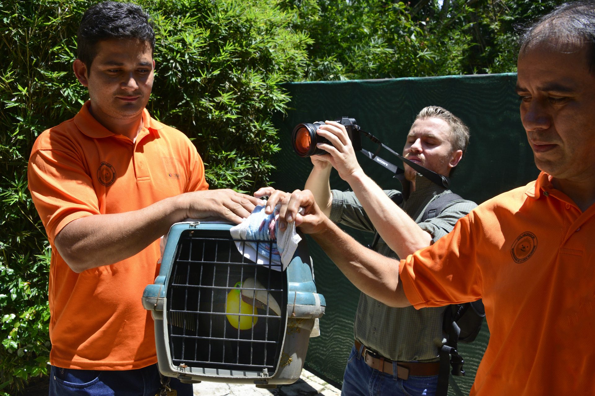 Por qué Costa Rica está cerrando sus zoológicos