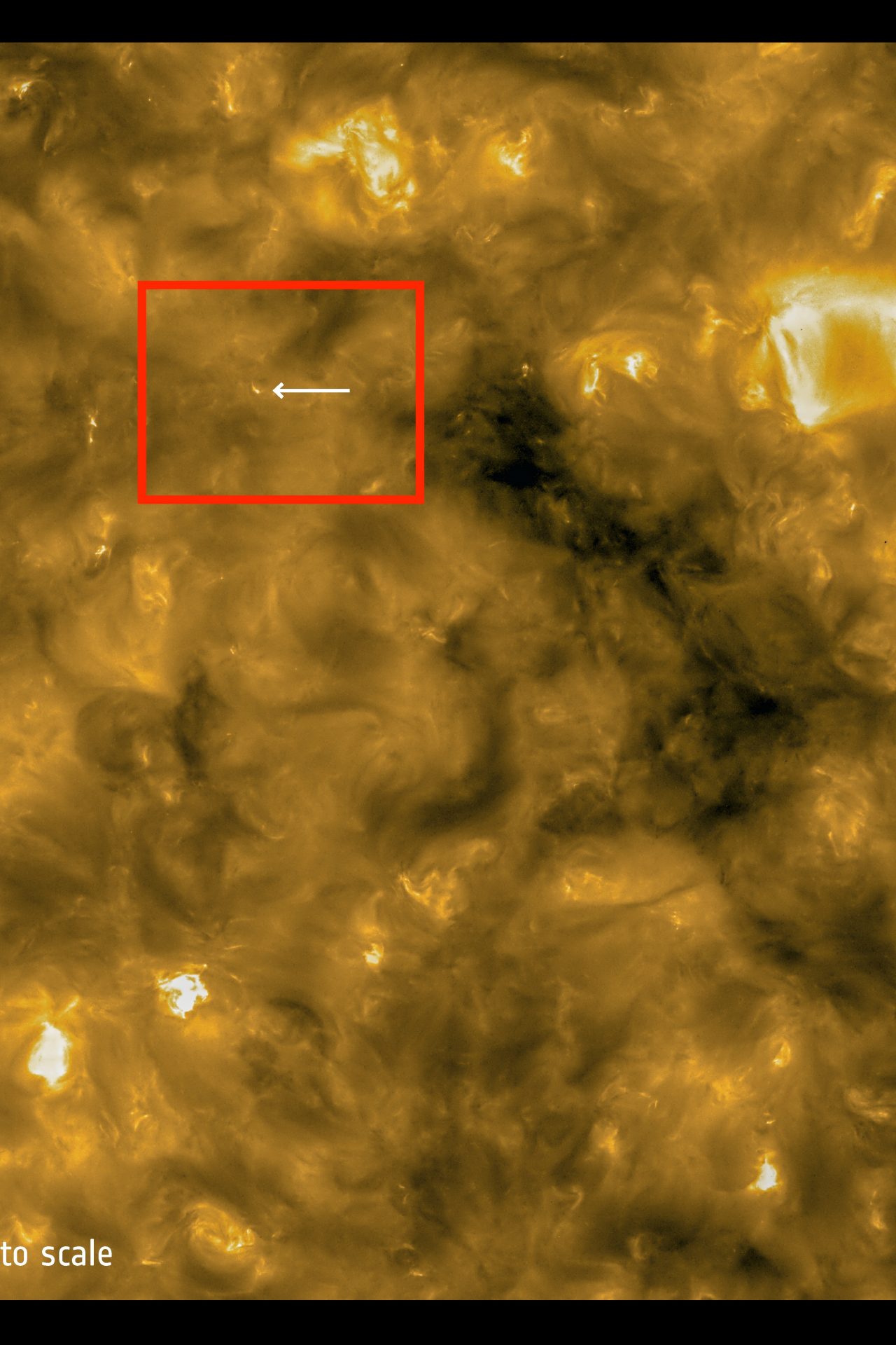 Relatively tiny eruptions on the sun 