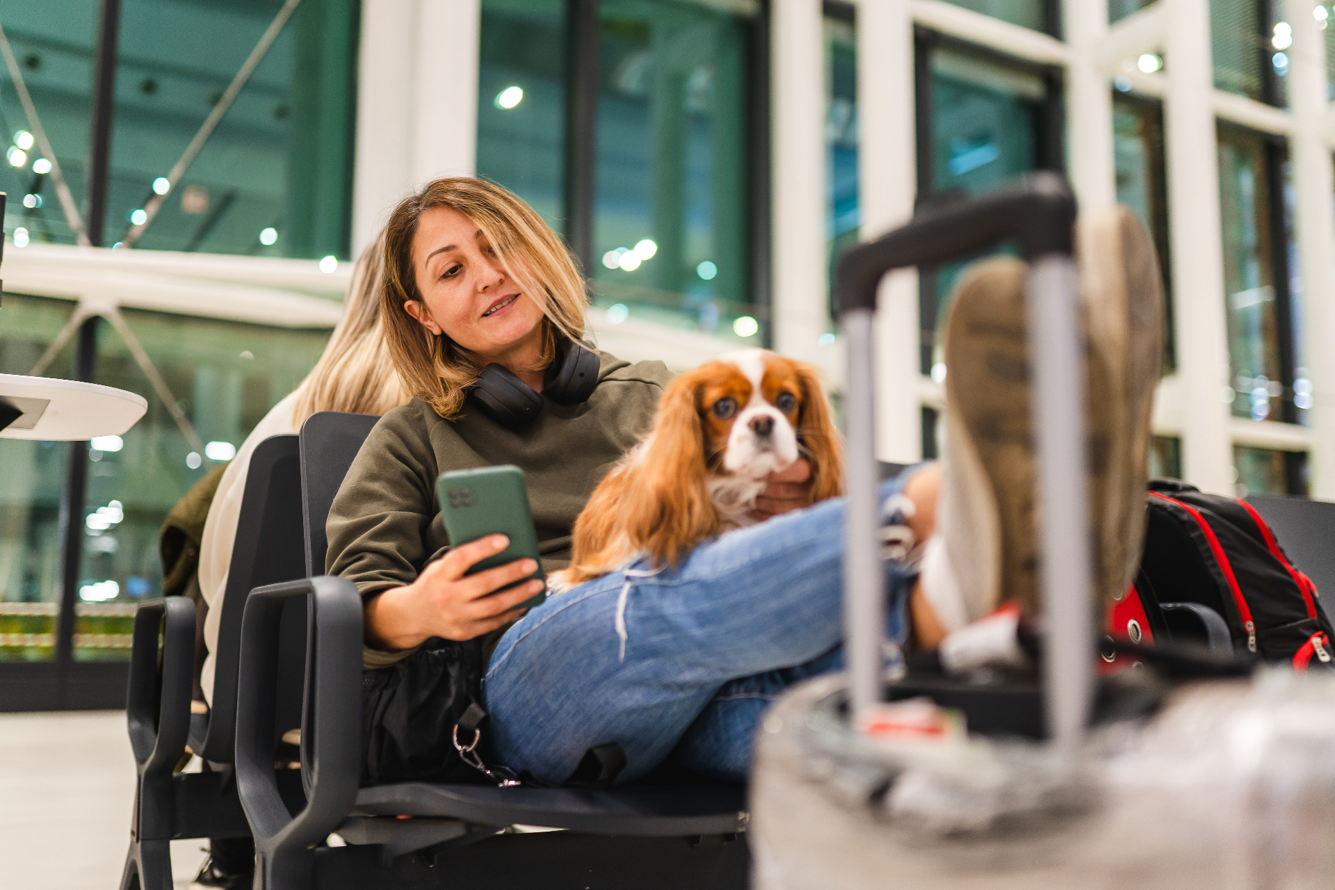犬も飛行機の客室で旅する時代？ 犬のための「バーク・エア」が運航開始
