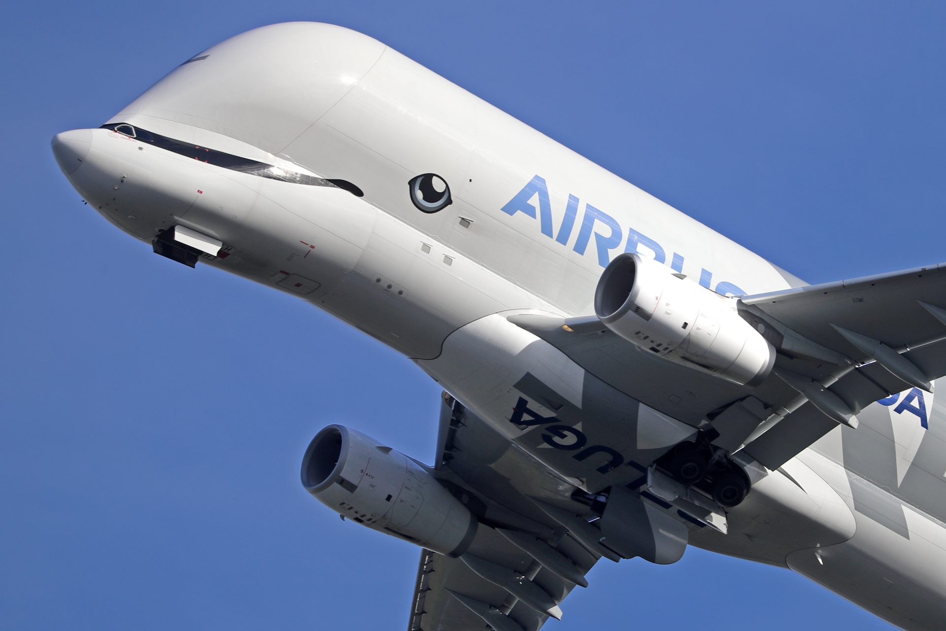 Meet Airbus Beluga: Is this the cutest plane in the skies?