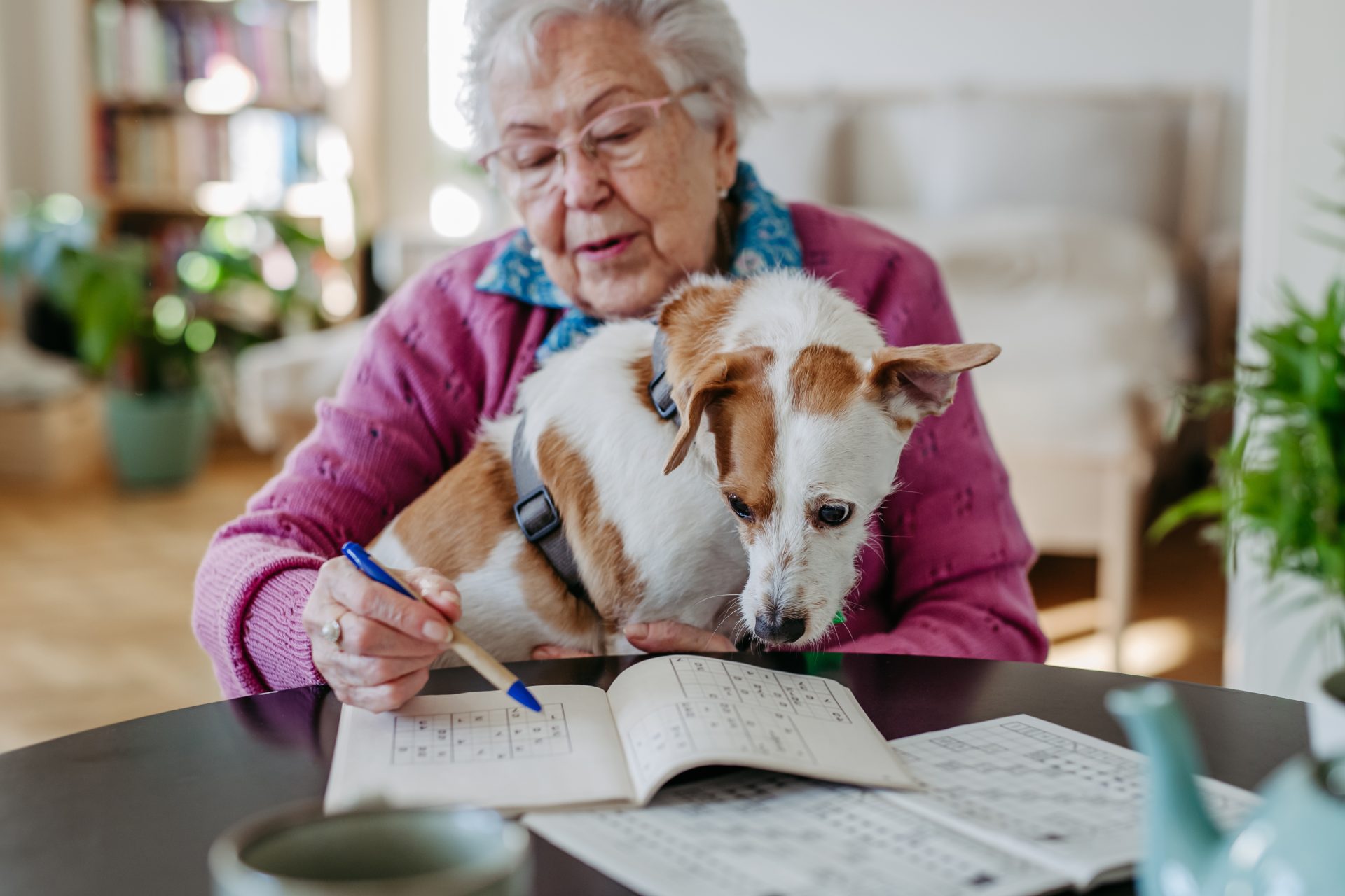 Foreign language and puzzles both had positive effects 