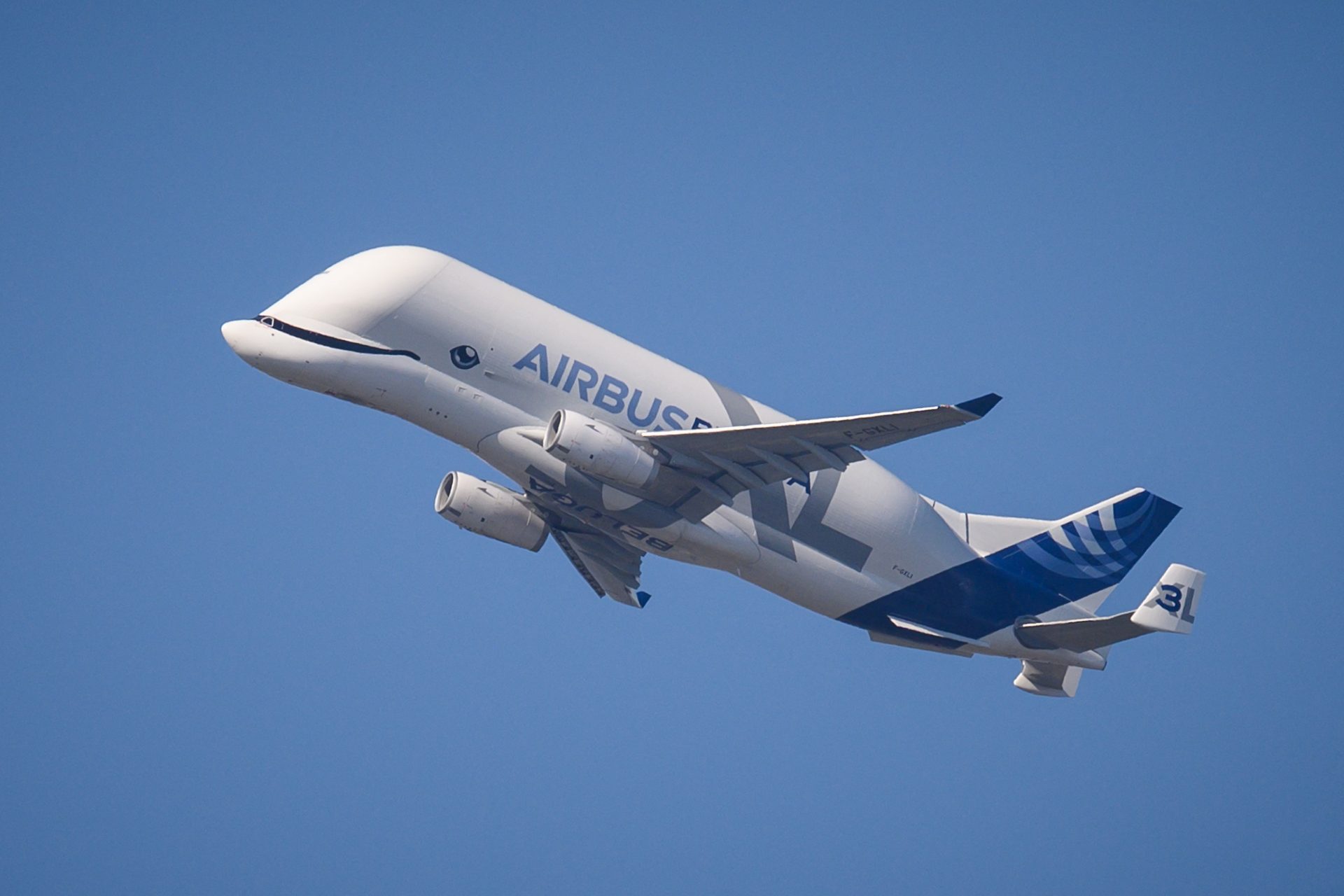 エアバス社、イルカ顔の航空機「ベルーガ」の輸送会社を創設