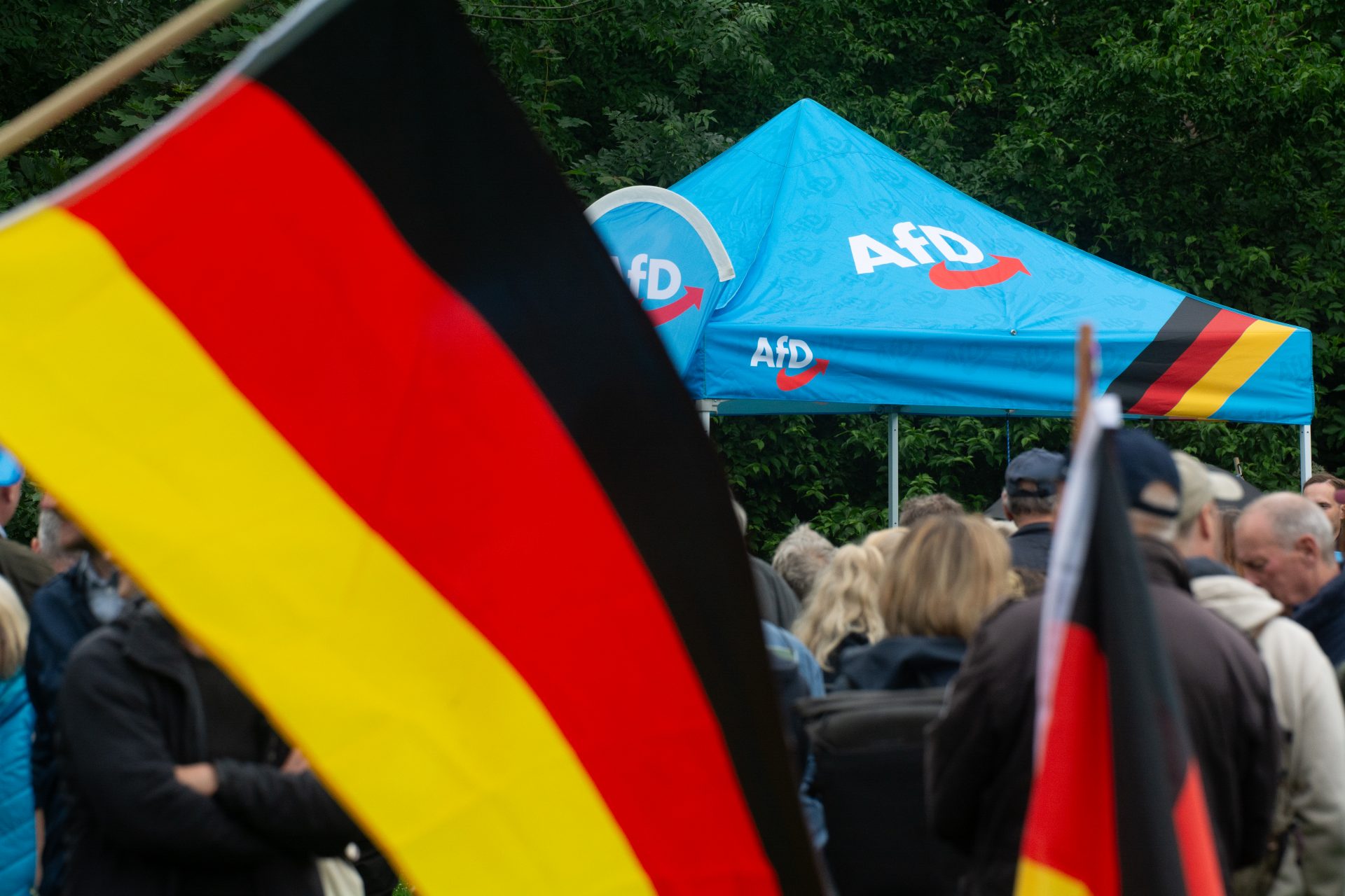 In Germany, the radical right passes the Social Democrats and the Greens