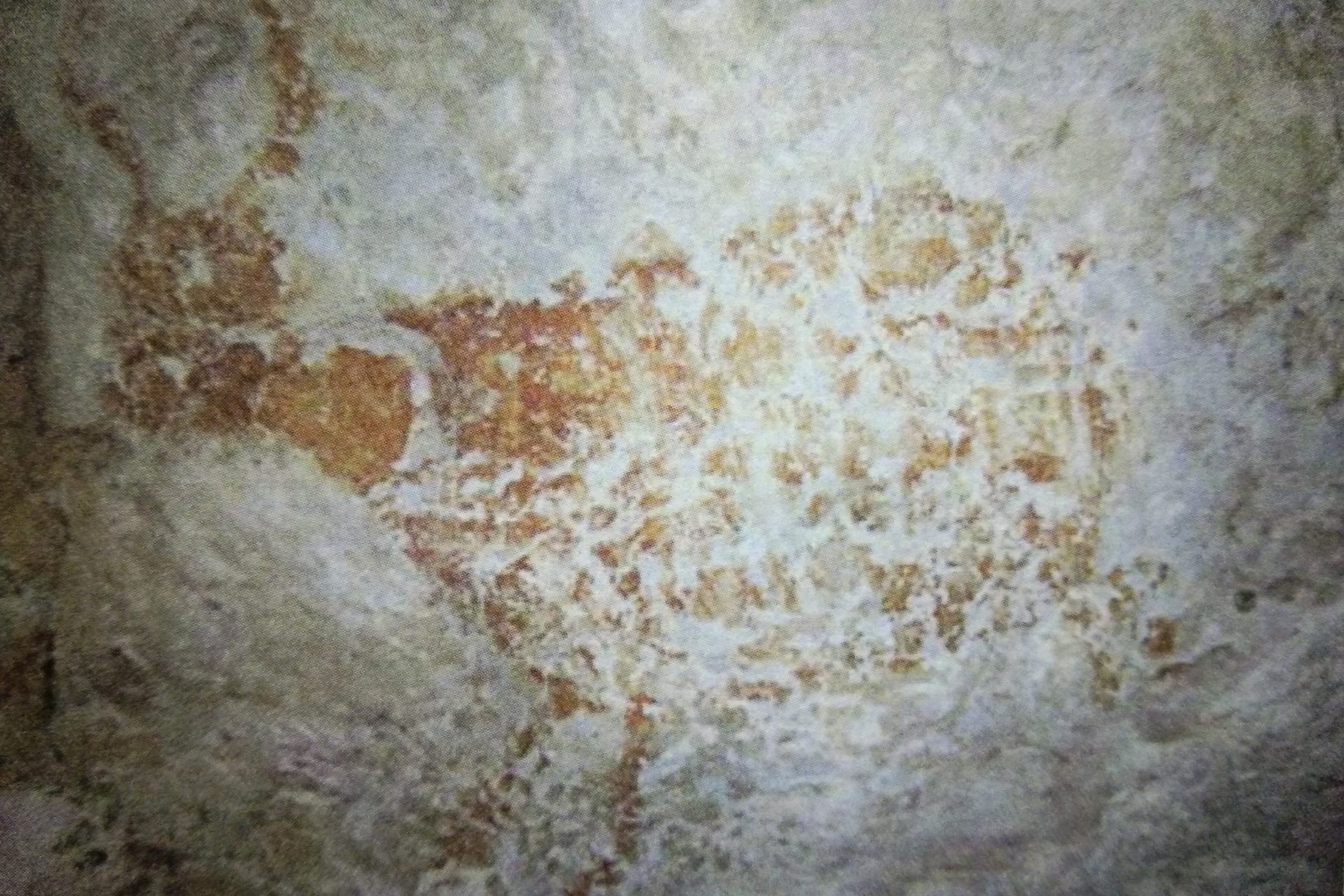 Descubrimiento en Borneo de una pintura Rupestre de más de 50.000 años