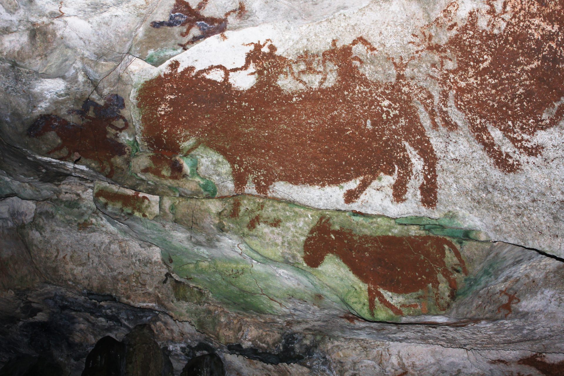 Descubrimiento en Célebes redefiniendo la historia del arte figurativo