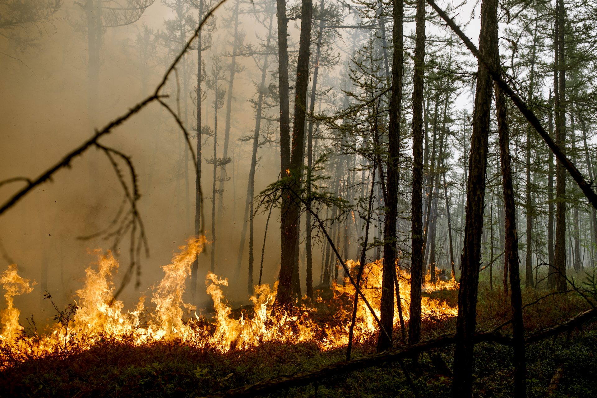 460.000 hectáreas quemadas