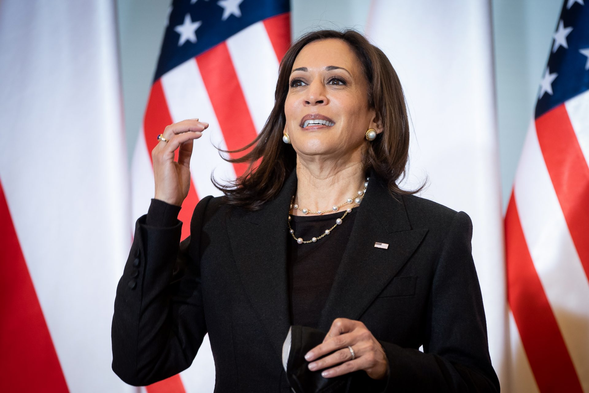 The Democrats who could challenge Kamala Harris for the nomination or become her running mate