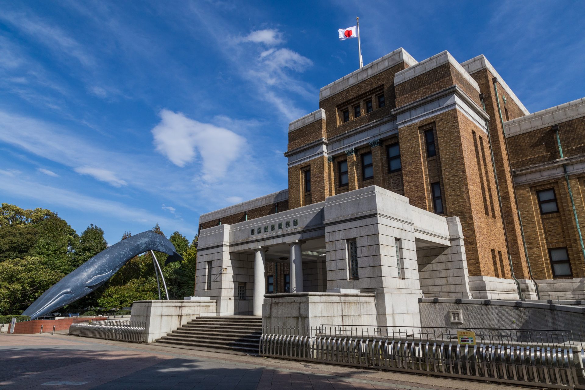 国立科学博物館で展示中