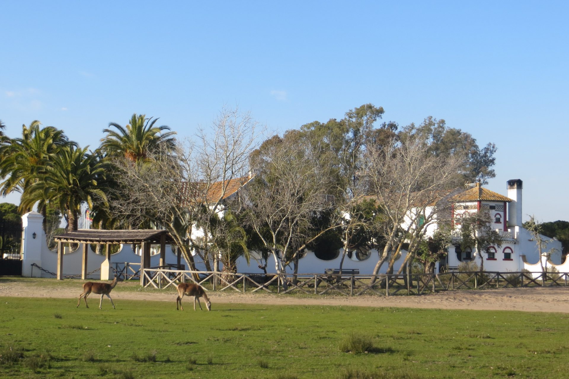 Palacio de las Marismillas, Doñana