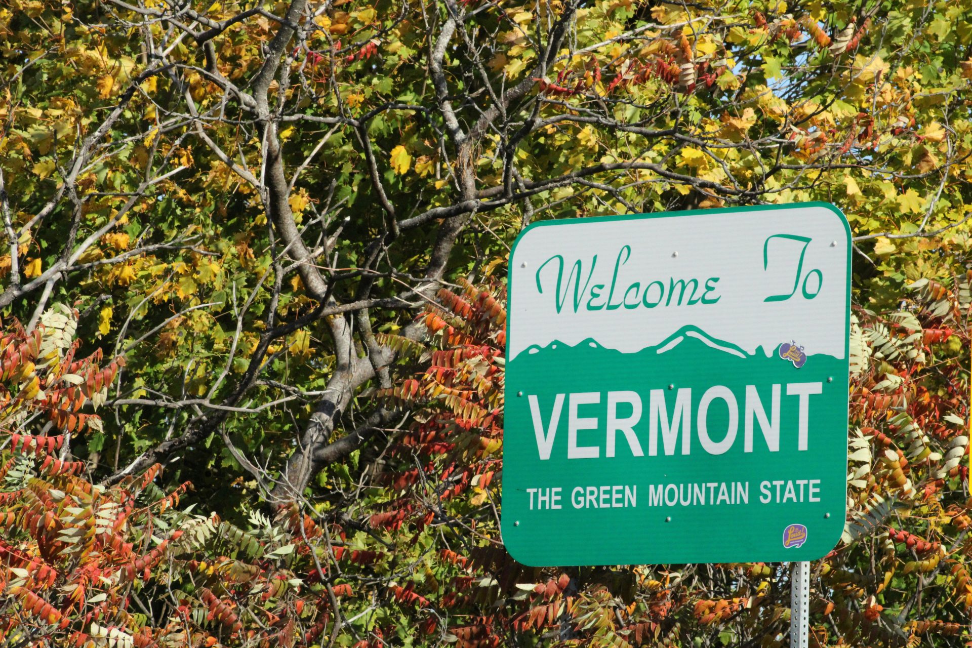 11. Vermont 