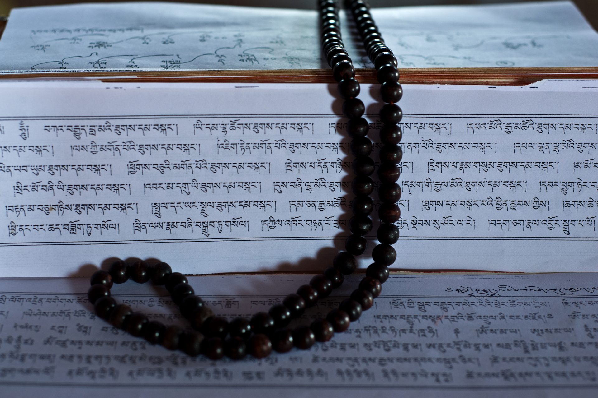 The​ Dharmatrāta Meditation Scripture