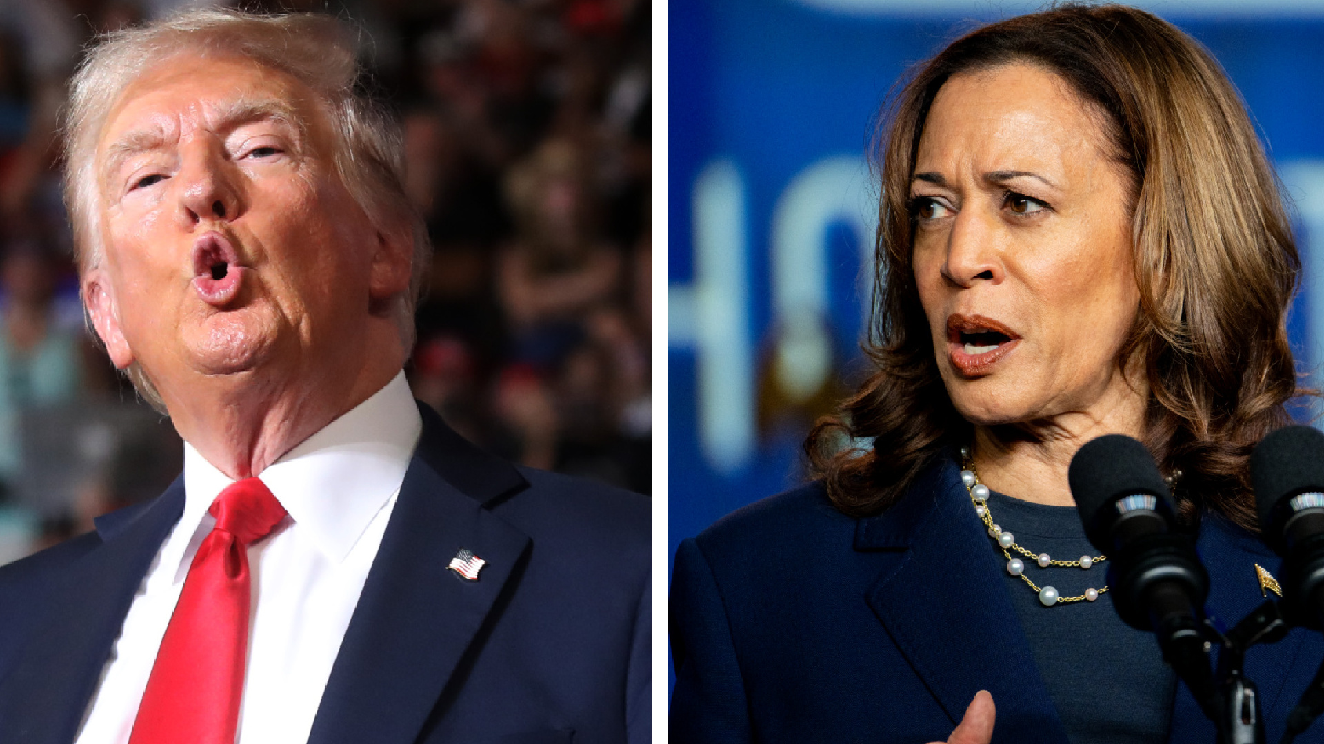 Harris's campaign fires back after Trump's sharp criticism at rally
