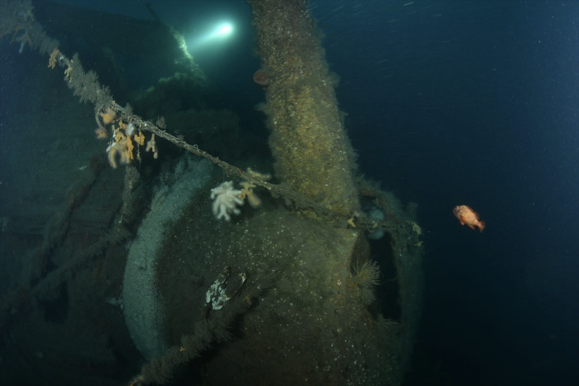 Die HMS Hawke liegt auf der Seite