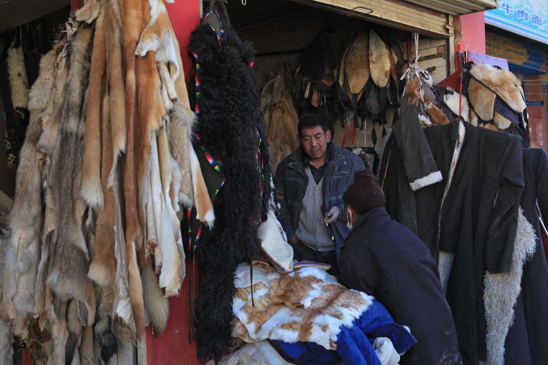 Study links previous pandemics to animal contact in Chinese markets