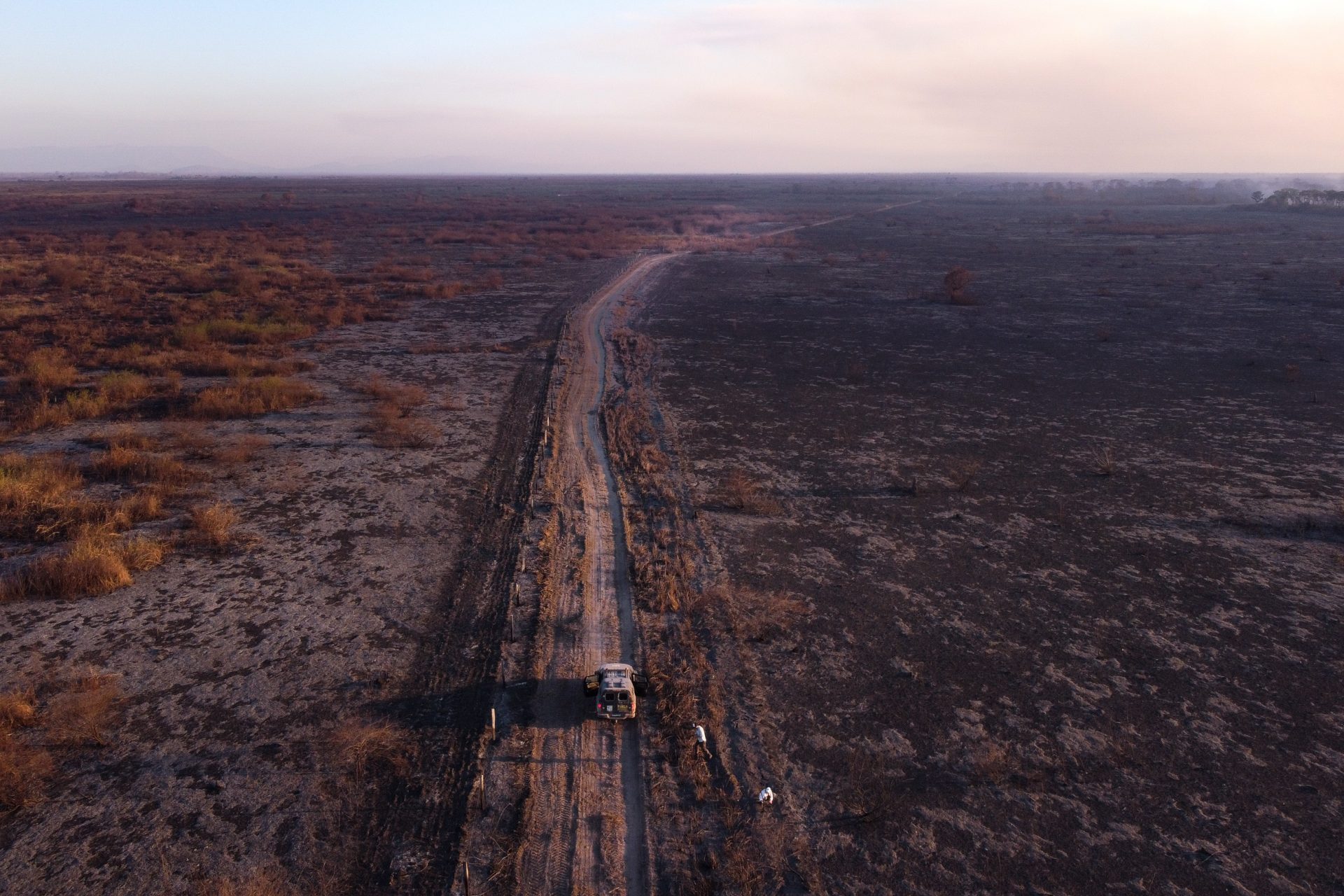 Les incendies criminels génèrent des milliards de dollars par an