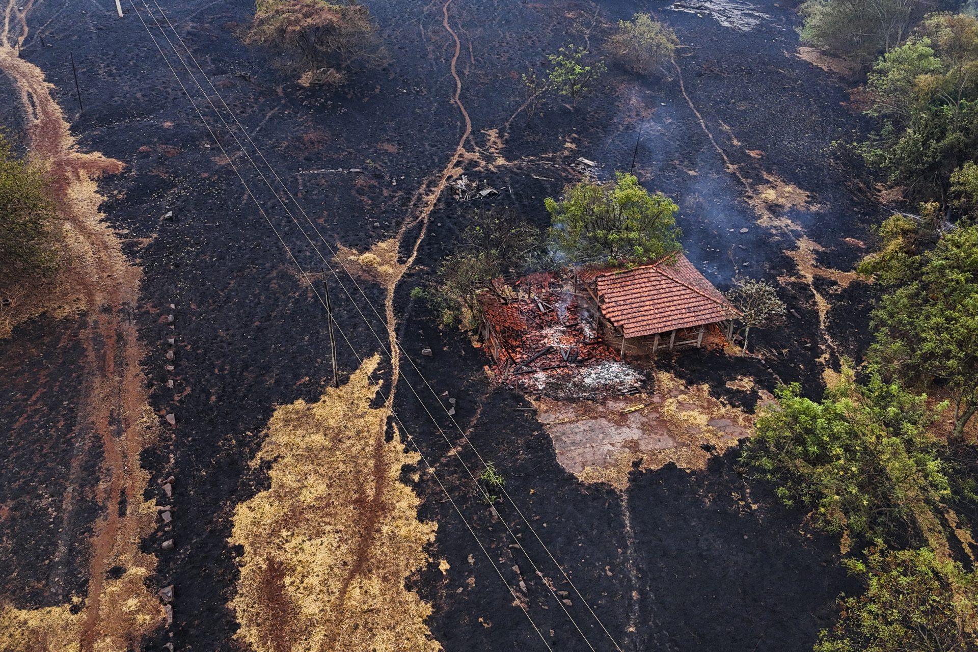 Le Brésil est le premier pays au monde pour le nombre d'incendies