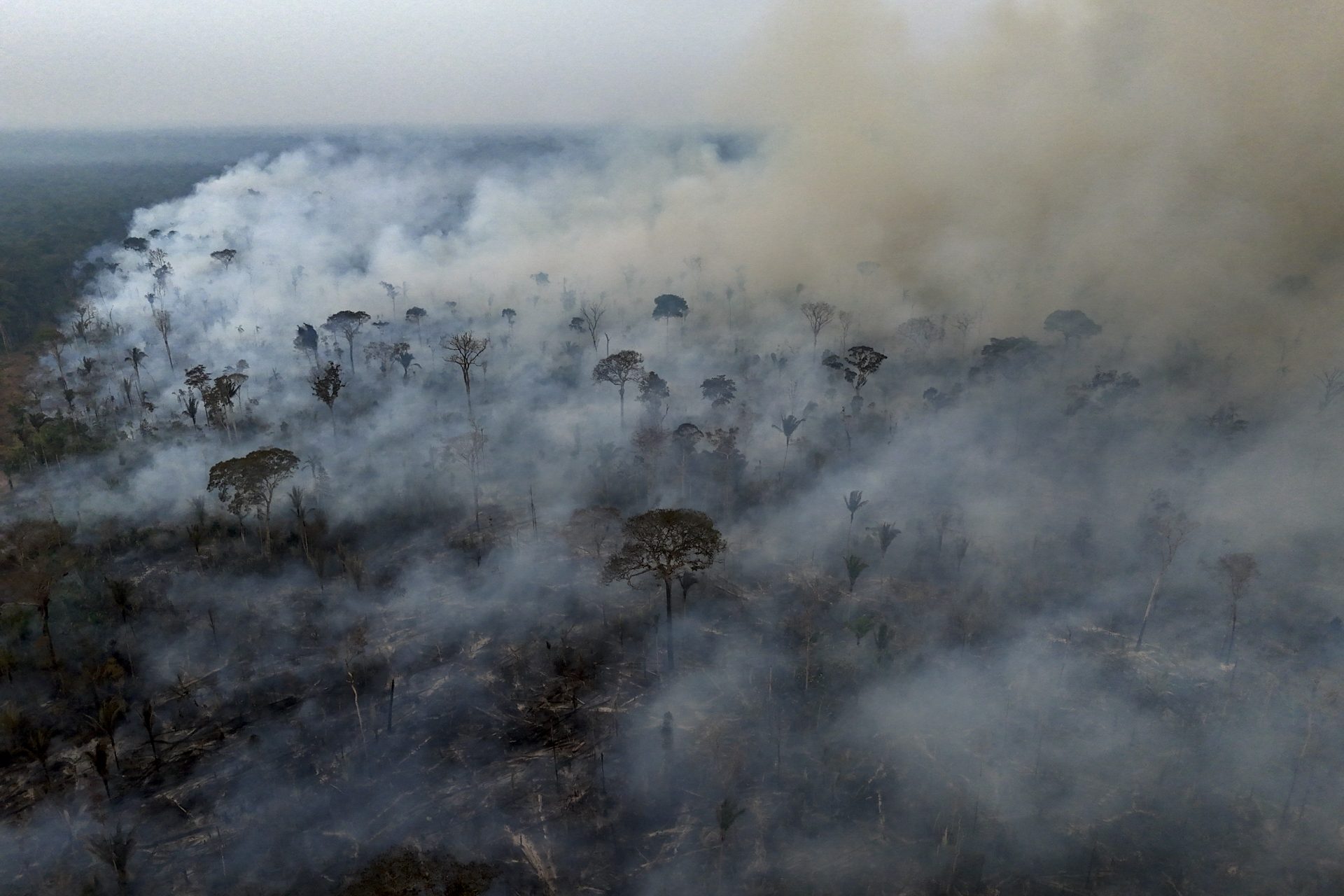 L'accumulation d'incendies au cours de l'année