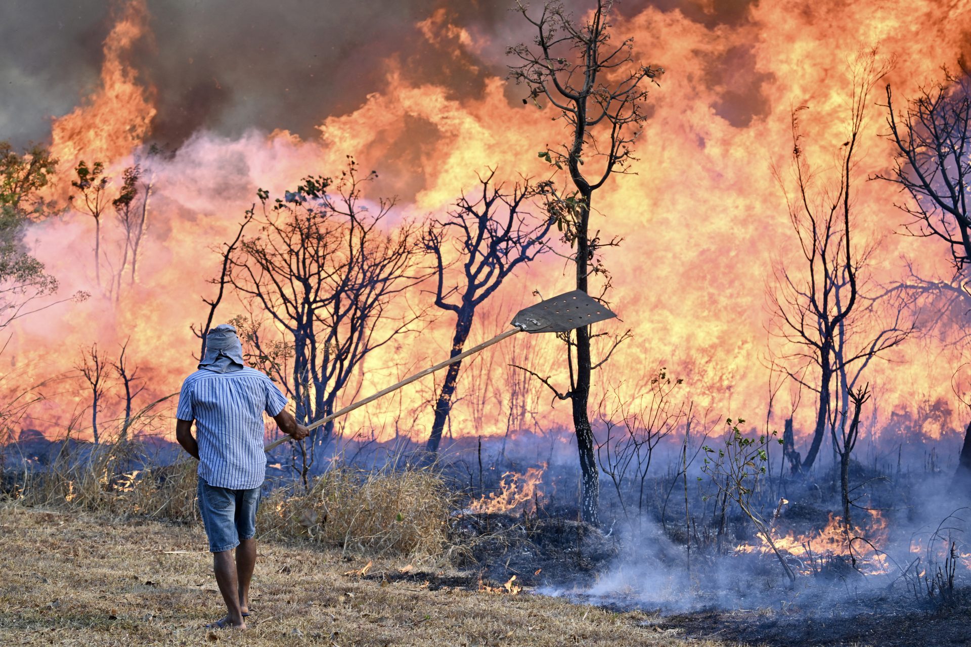 Des incendies dramatiques ravagent le Brésil