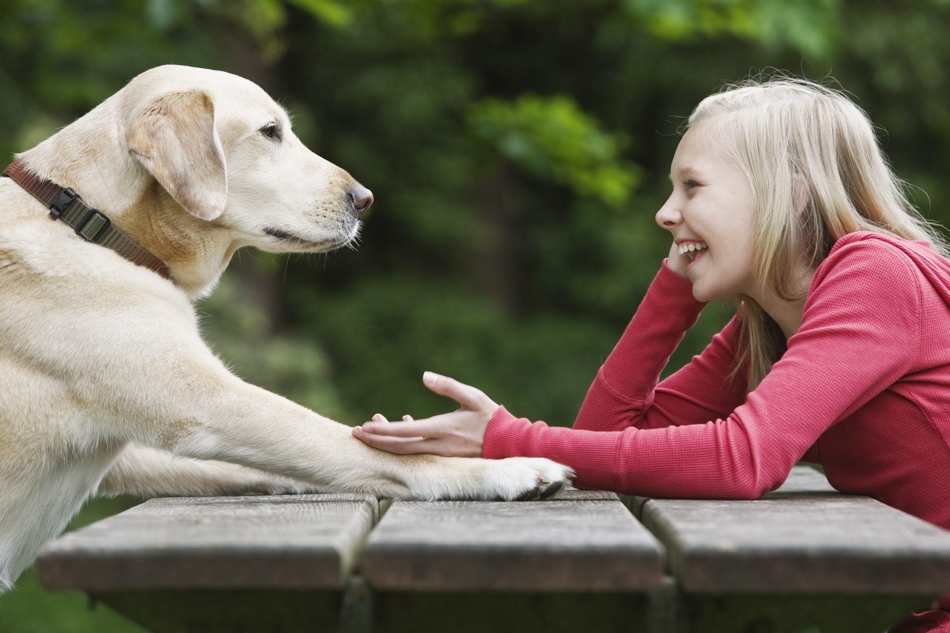 Could there be more talking animals?