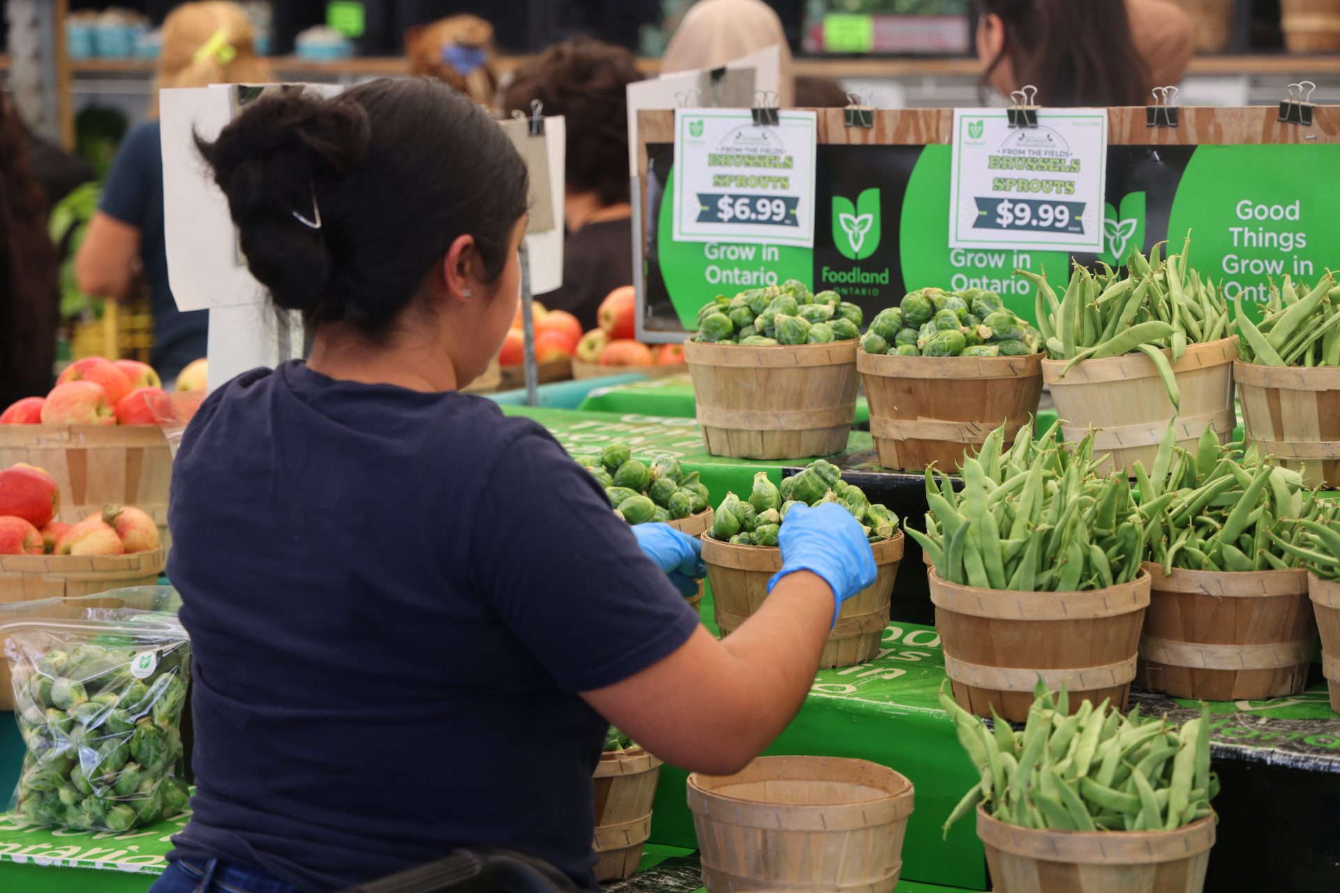 Many Canadians can't afford fruit and veg