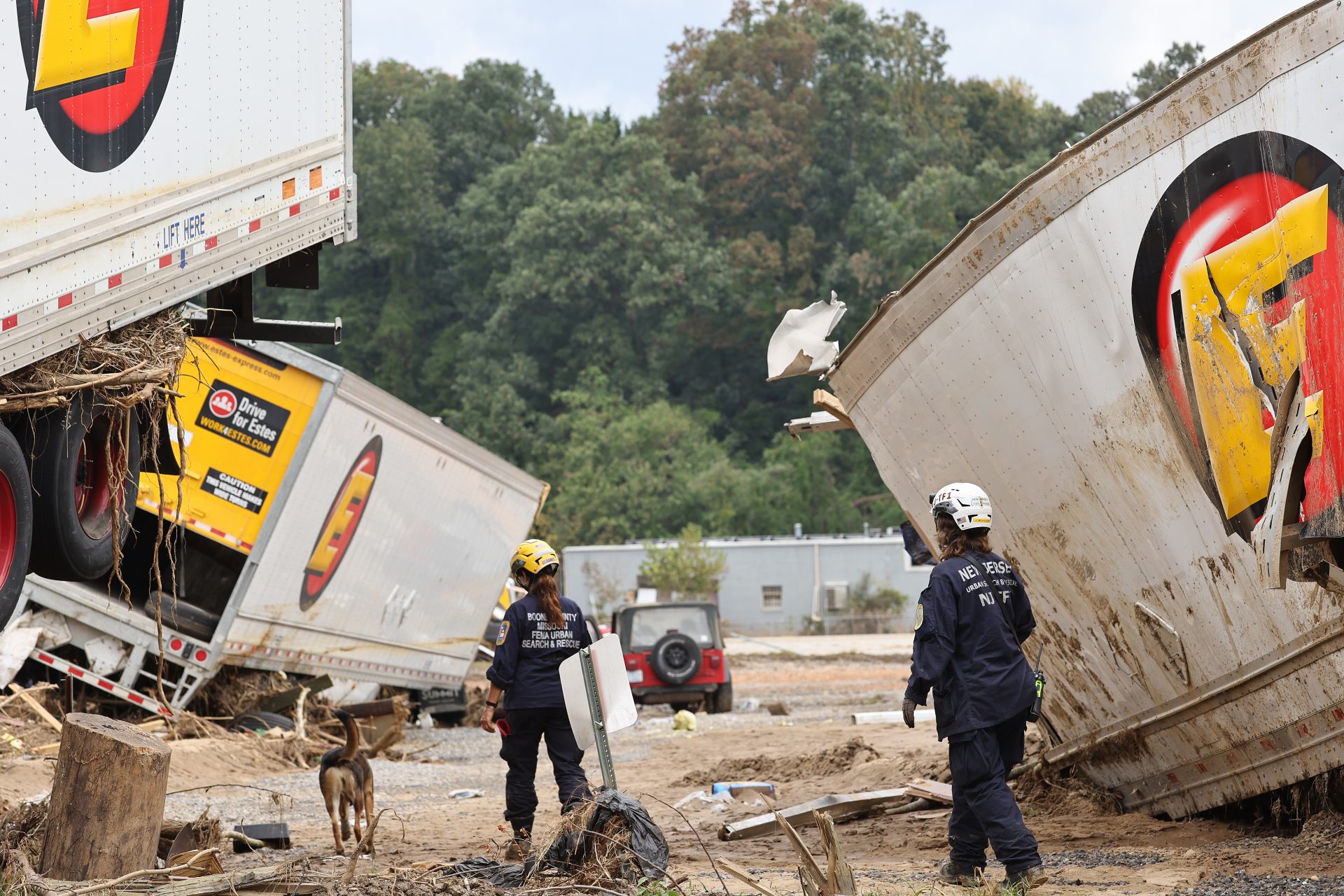 Sturm der Fehlinformationen