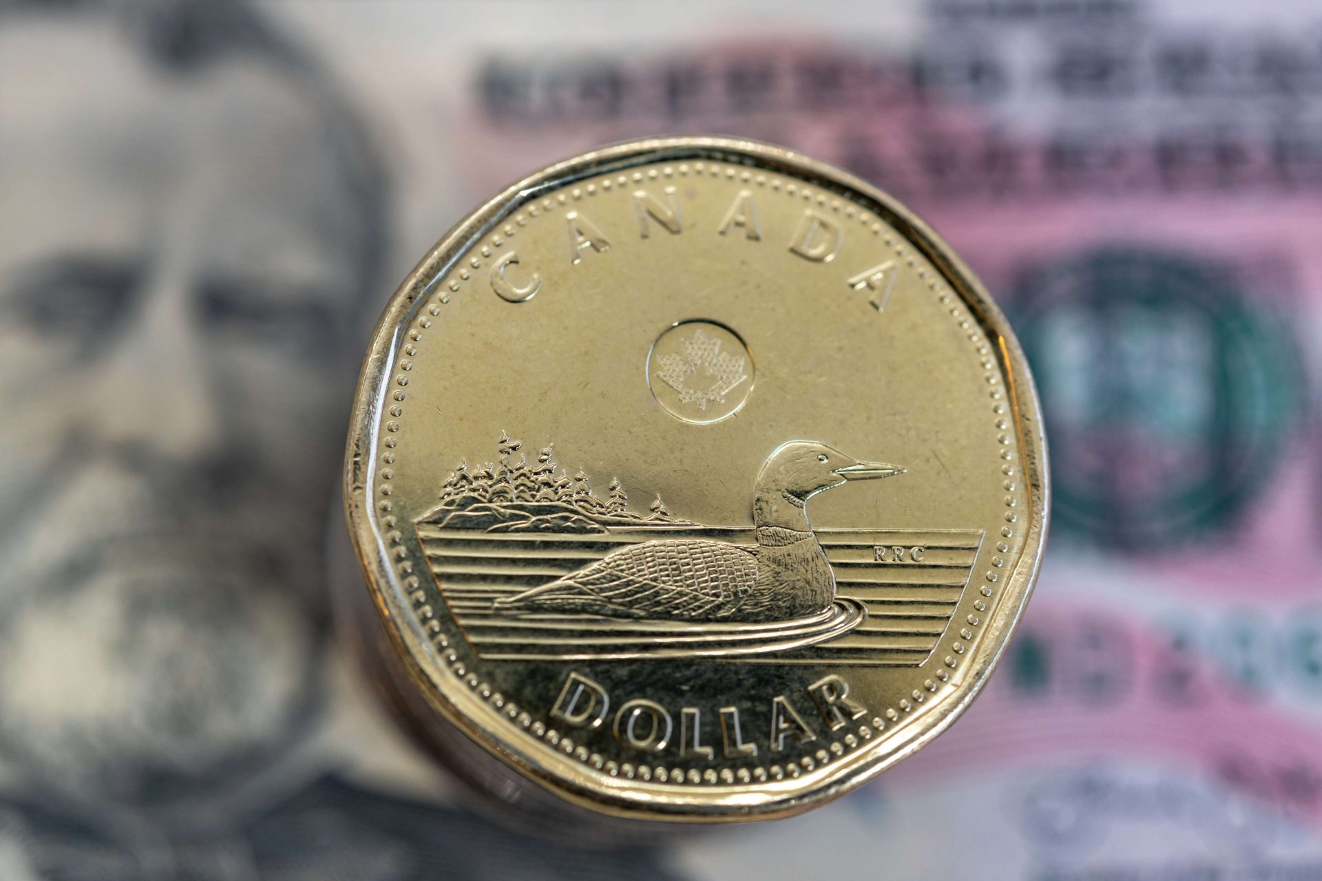 Canadian dollar falls to four-year low as U.S. leadership is set to change