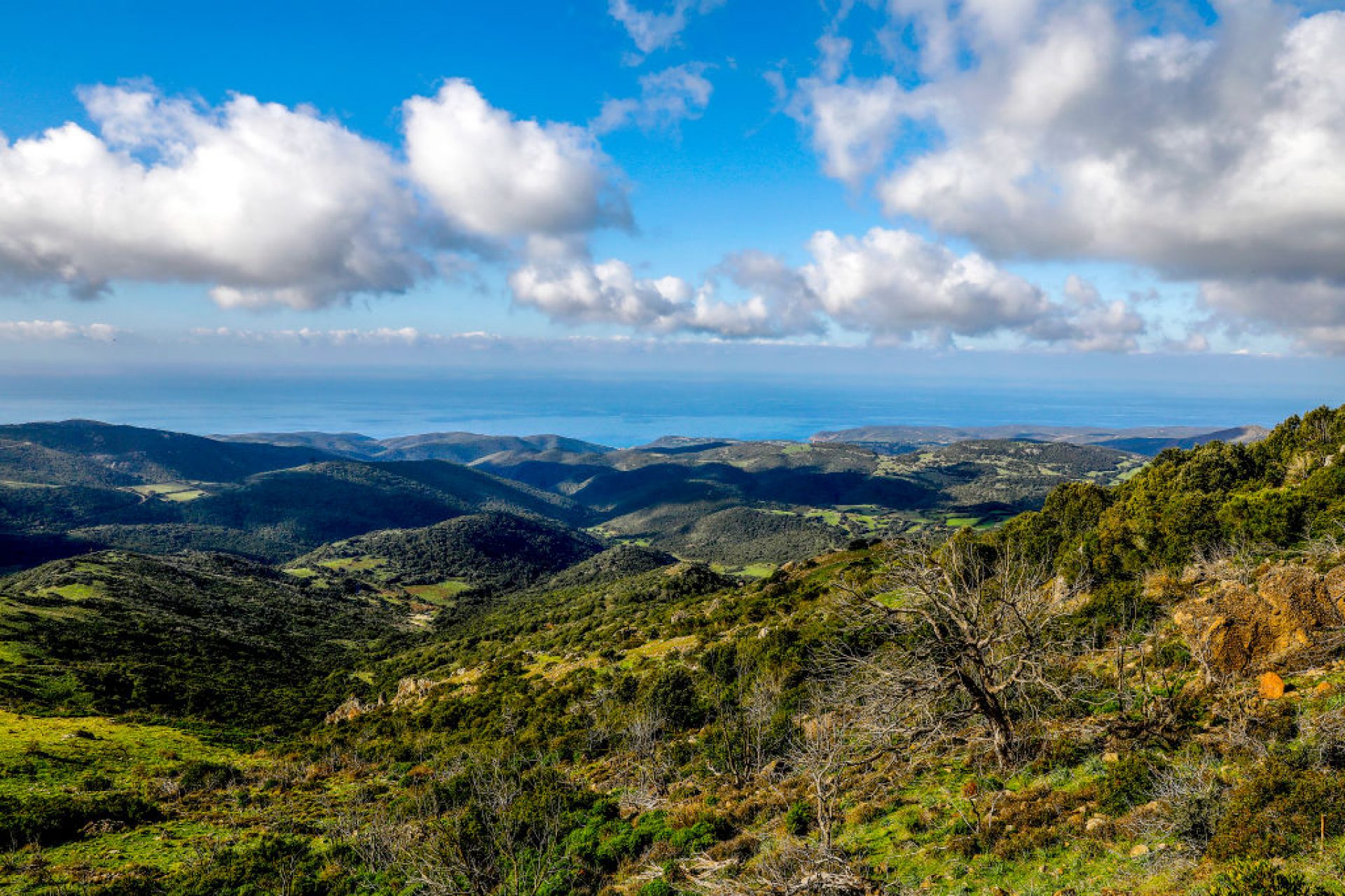 Une municipalité de Sardaigne propose des maisons à 1 € aux Américains déçus par l'élection de Donald Trump