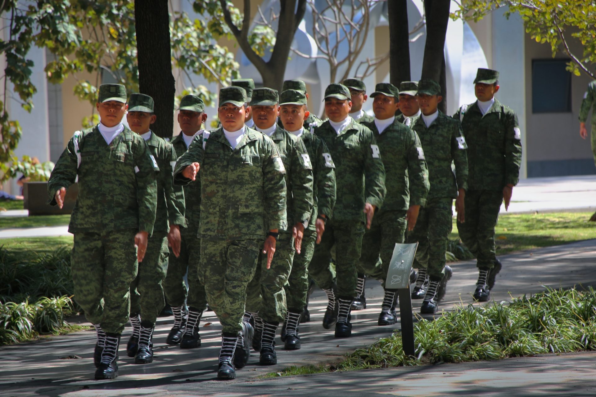 Reducción en la Secretaría de la Defensa Nacional