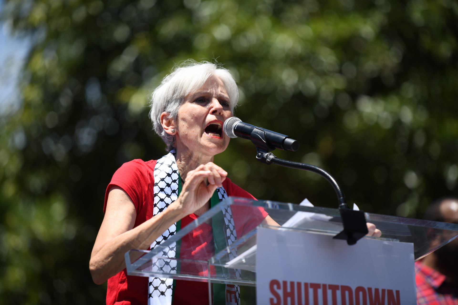 Jill Stein and other third-party candidates could swing the U.S. election