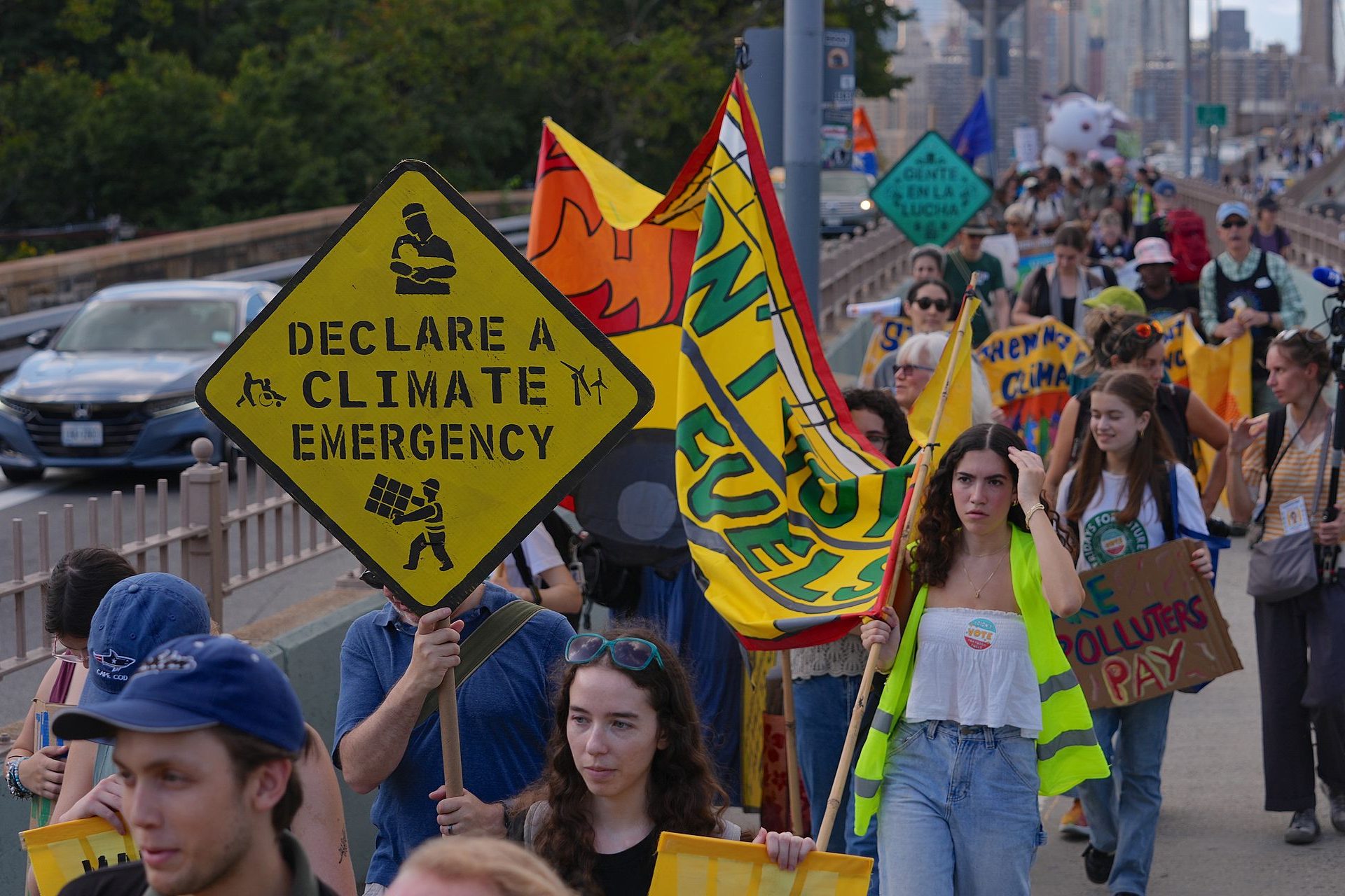 Le mouvement écologiste