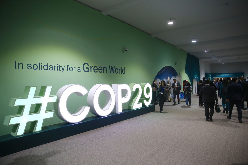 The COP29 focus on nuclear 