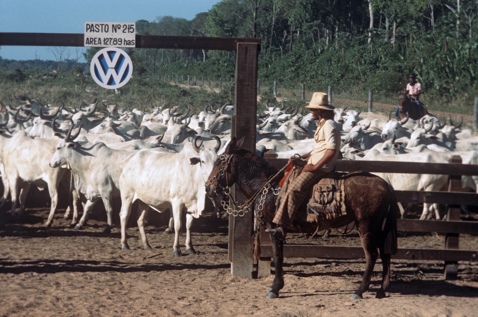 Subsidiária da VW