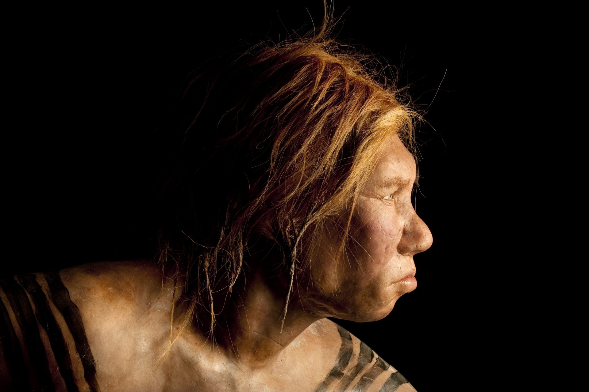 Neanderthal characteristics