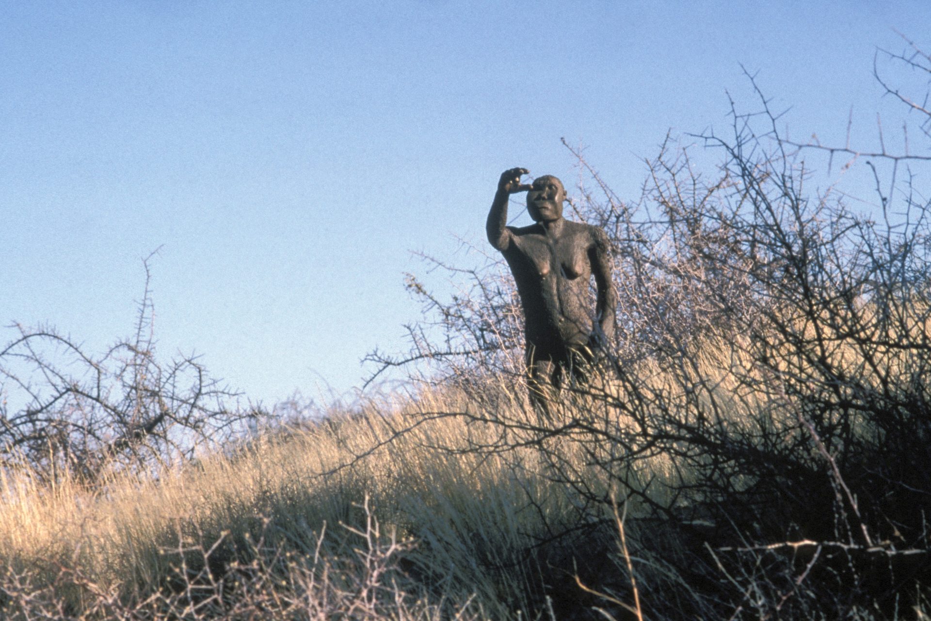 Footprints of two different species of early humans suggest they may have mingled