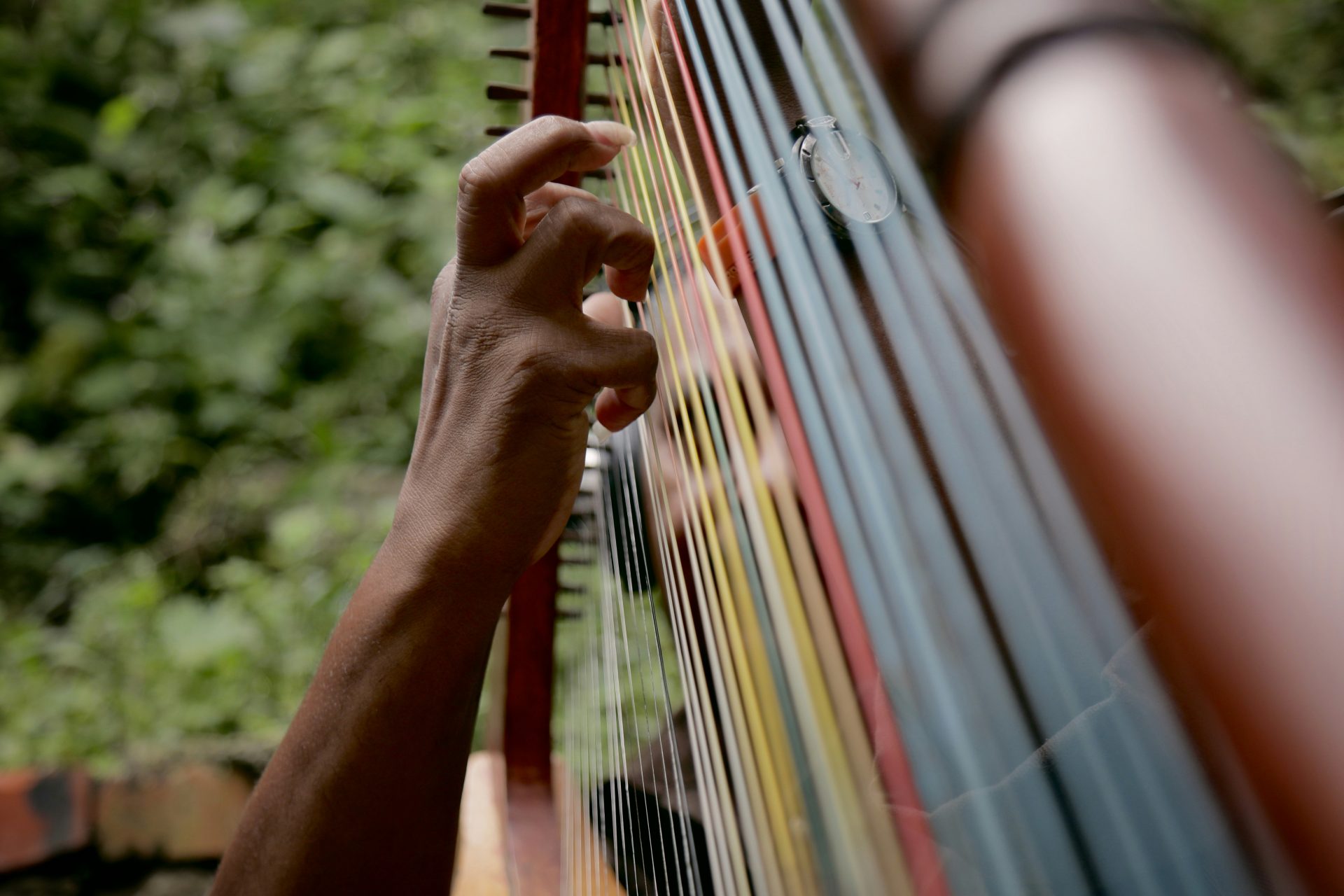 Músico desde su nacimiento