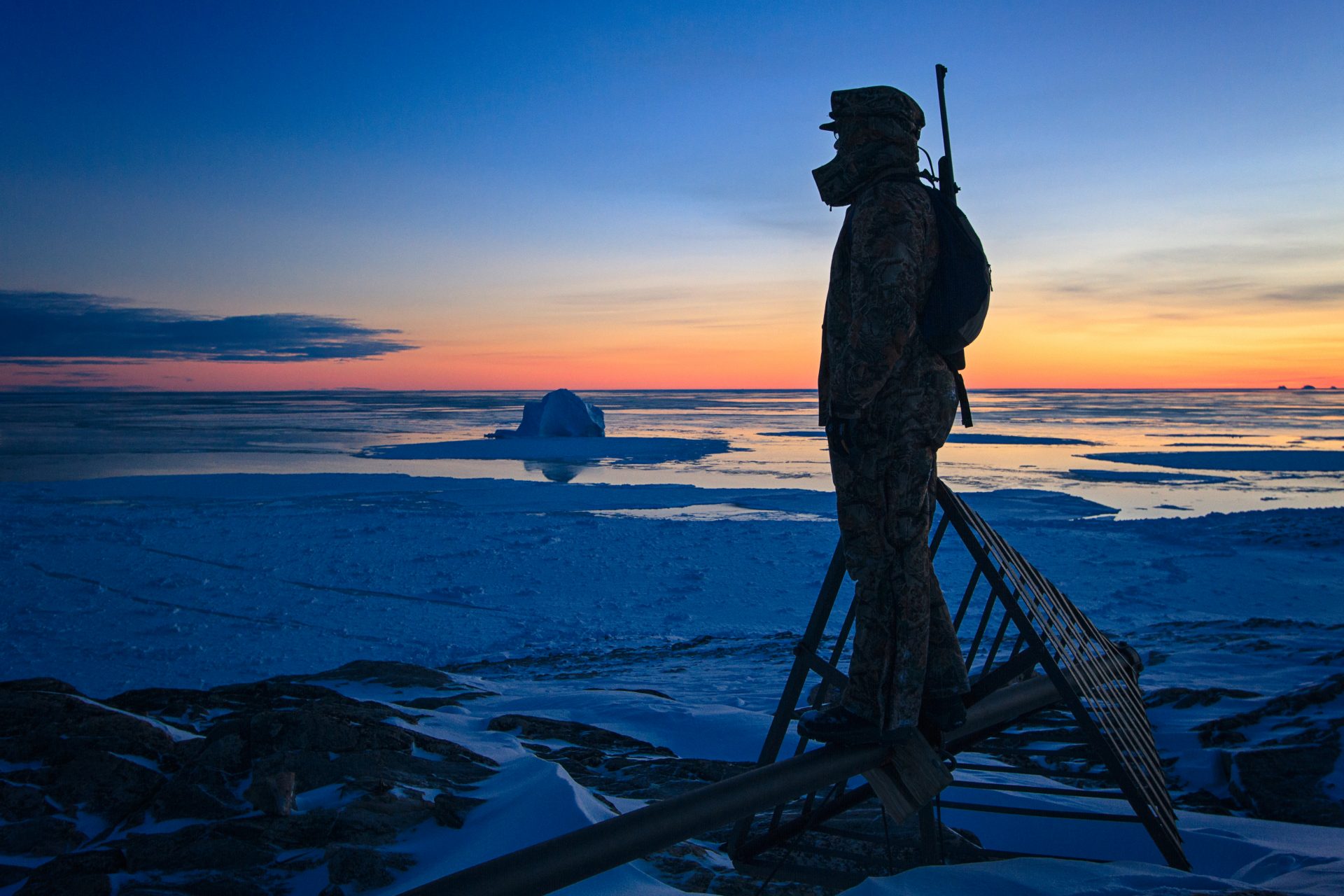 What would an invasion of Greenland by the United States look like?