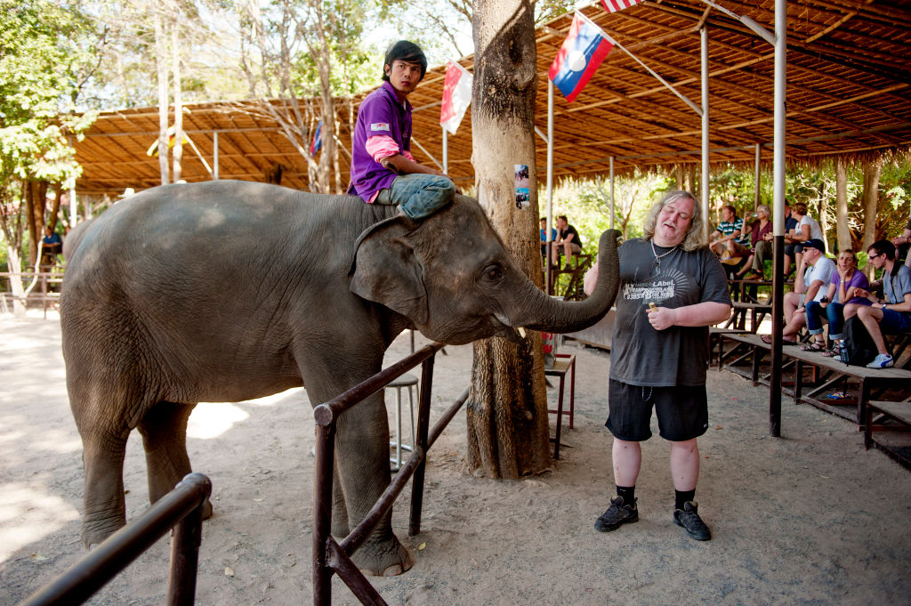 Una persona muerta por cada elefante macho en cautiverio 